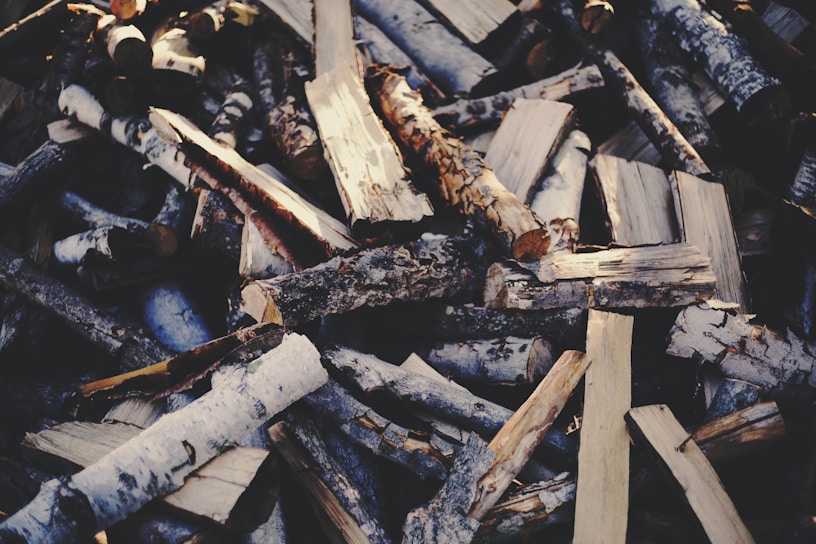 junk wood removal