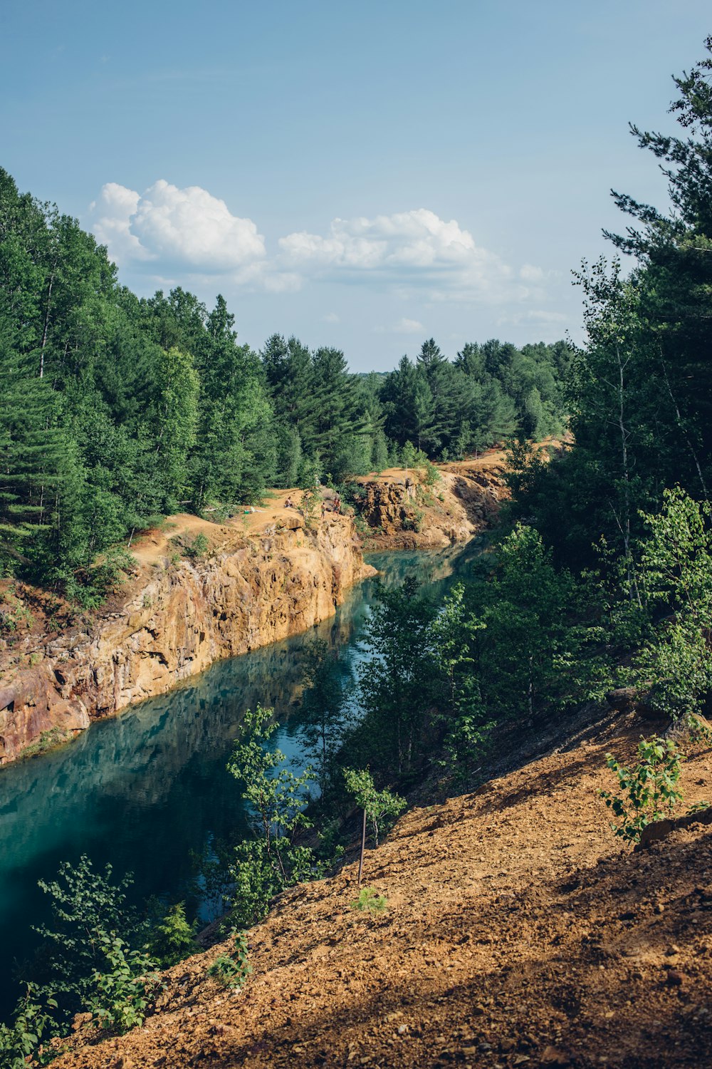 landscape photography of river