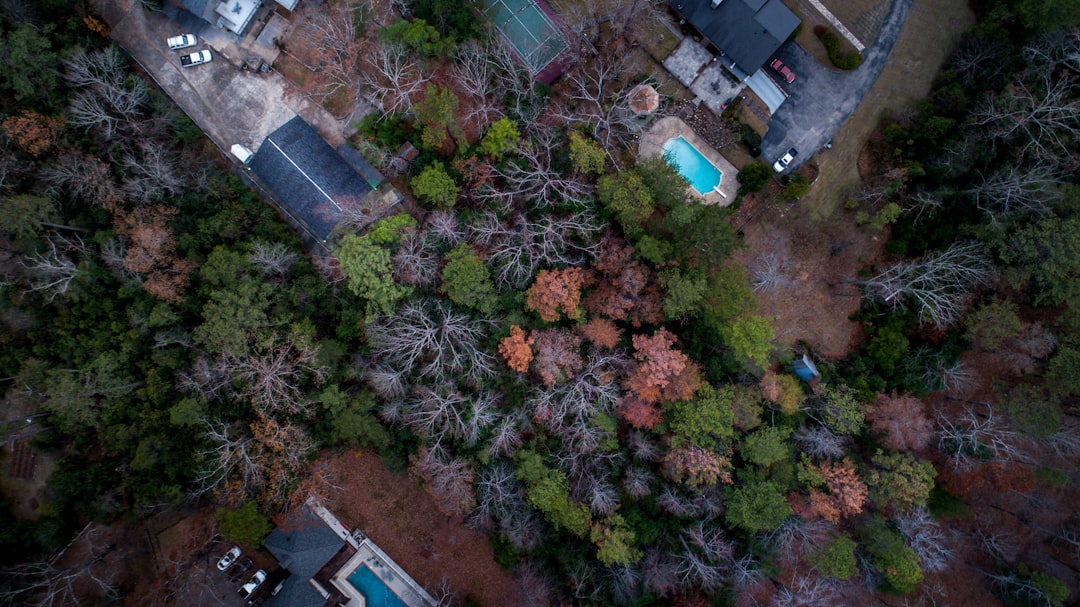 aerial photography of buildings surrounded by trees at daytime