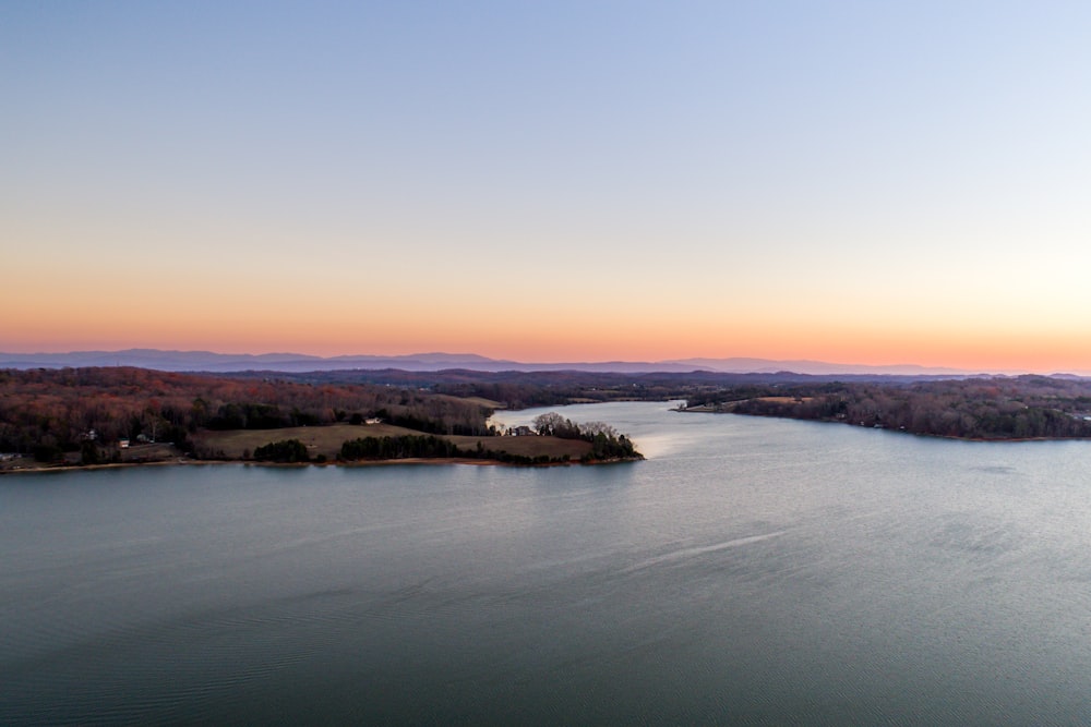 aerial photography of body of water and trees during daytime