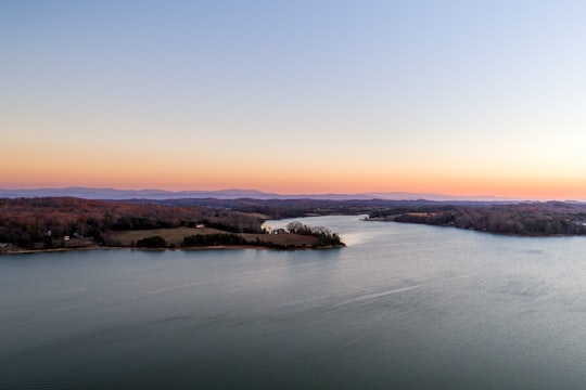 aerial photography of body of water and trees during daytime in Knoxville United States
