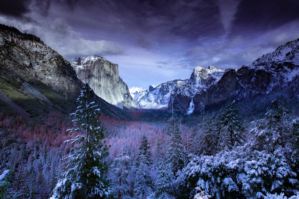 The floor of Yosemite Valley in cool winter colors