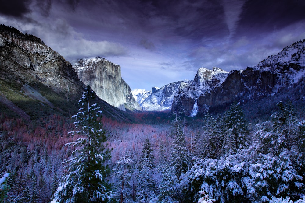 photo de montagnes et d’arbres