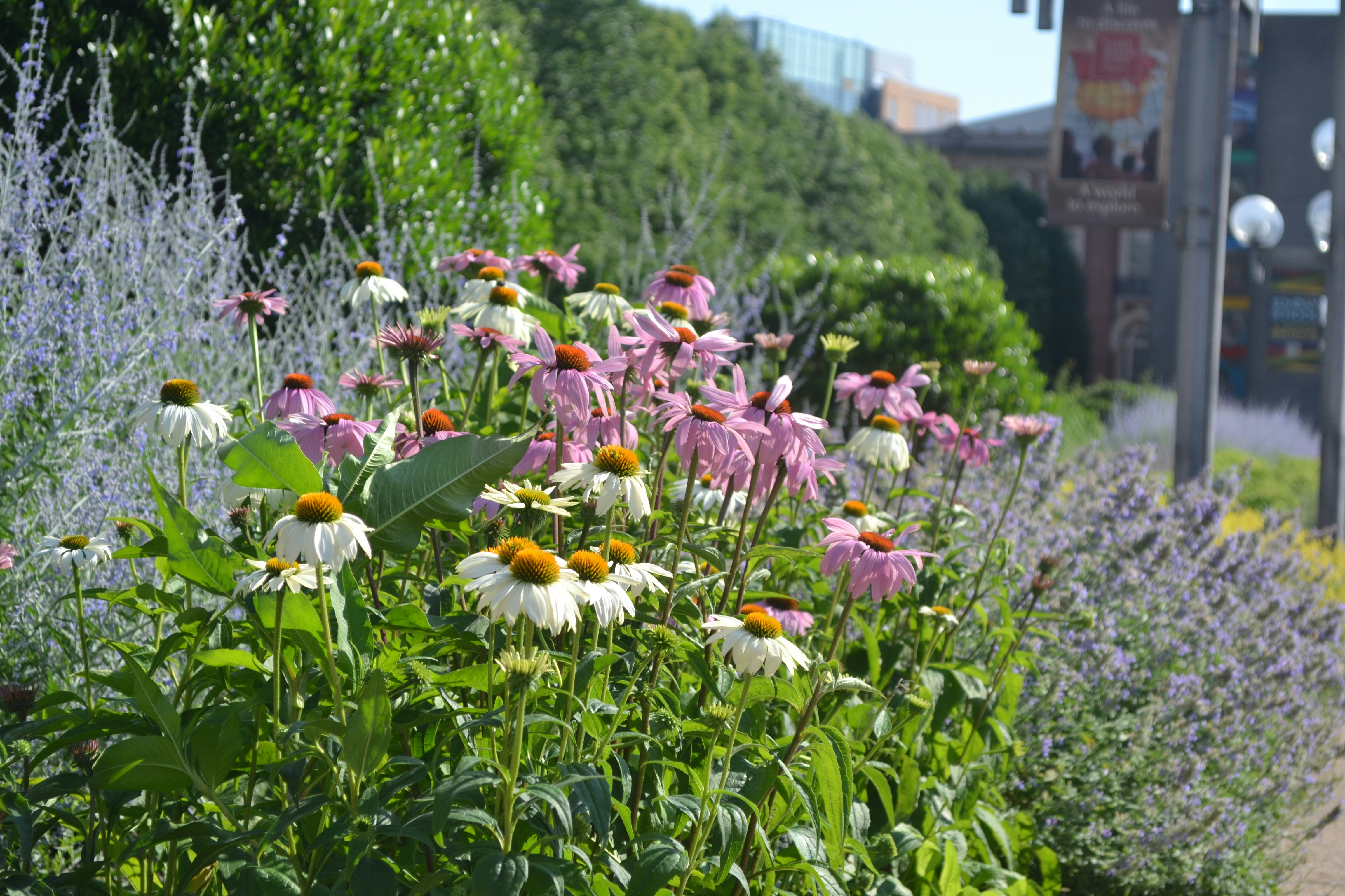 Free Unsplash photo from Yahya Zini