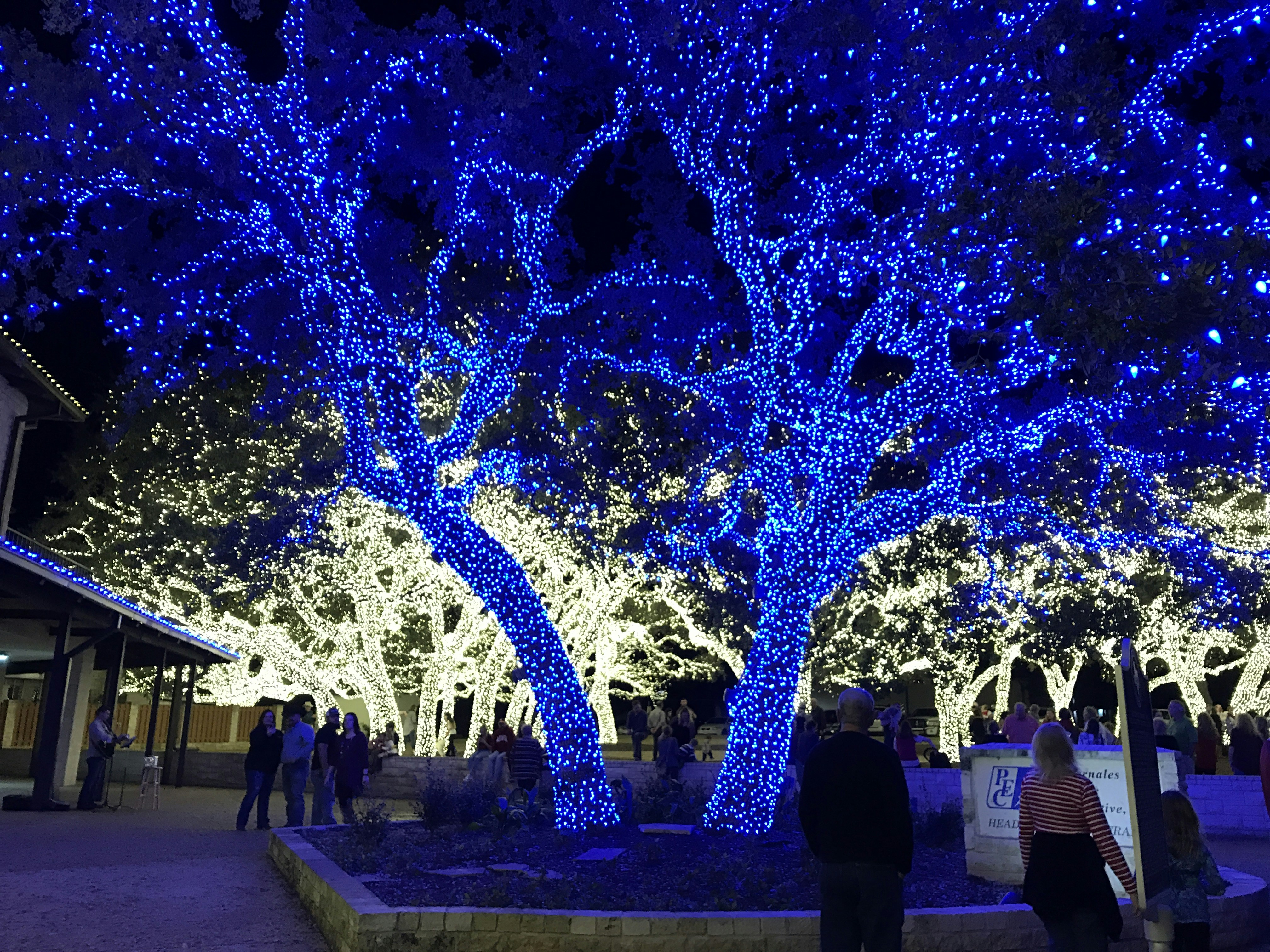 Free Unsplash photo from Thad Puckett