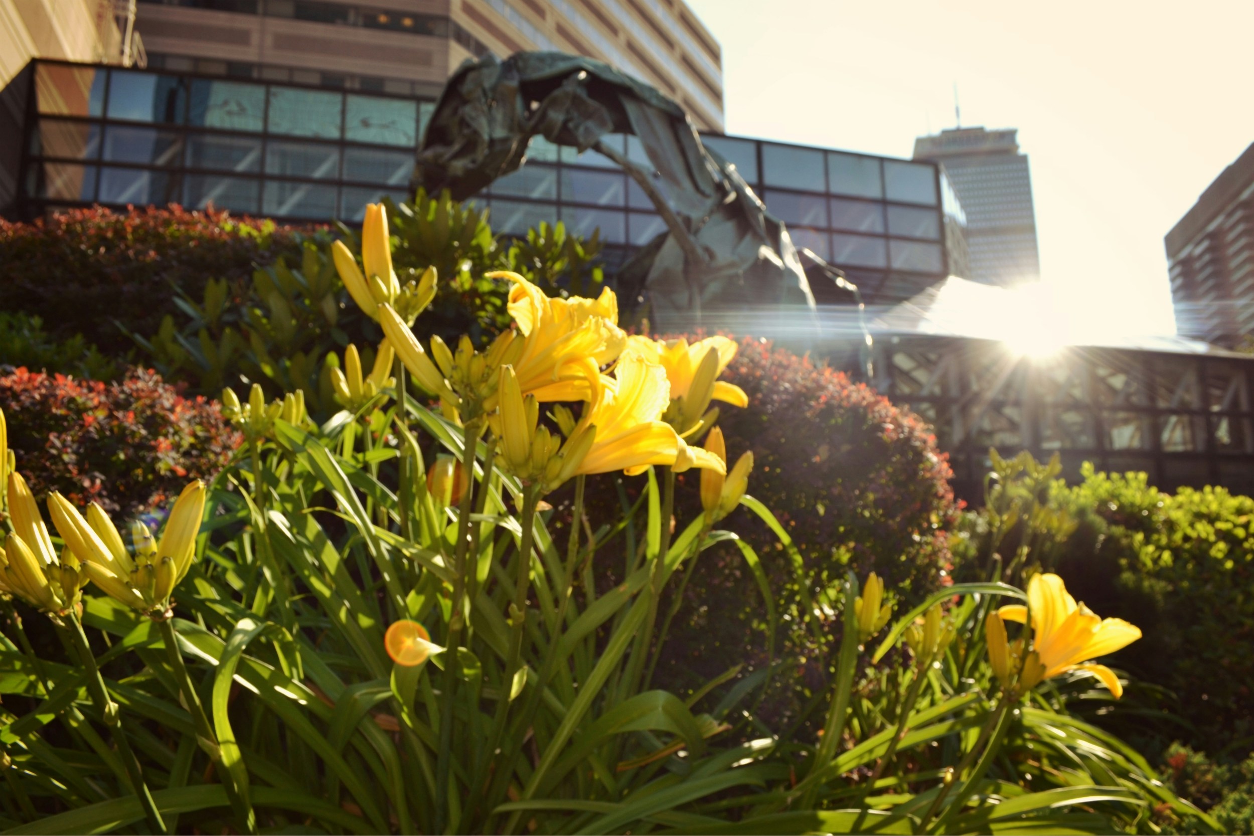 Free Unsplash photo from Yahya Zini