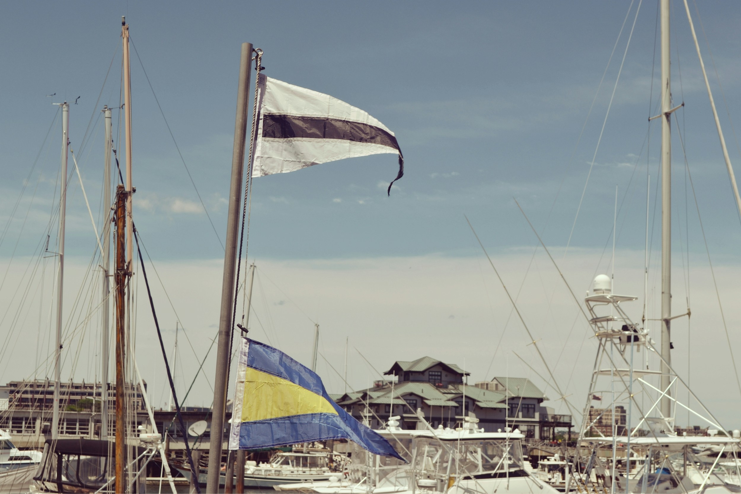 Free Unsplash photo from Yahya Zini