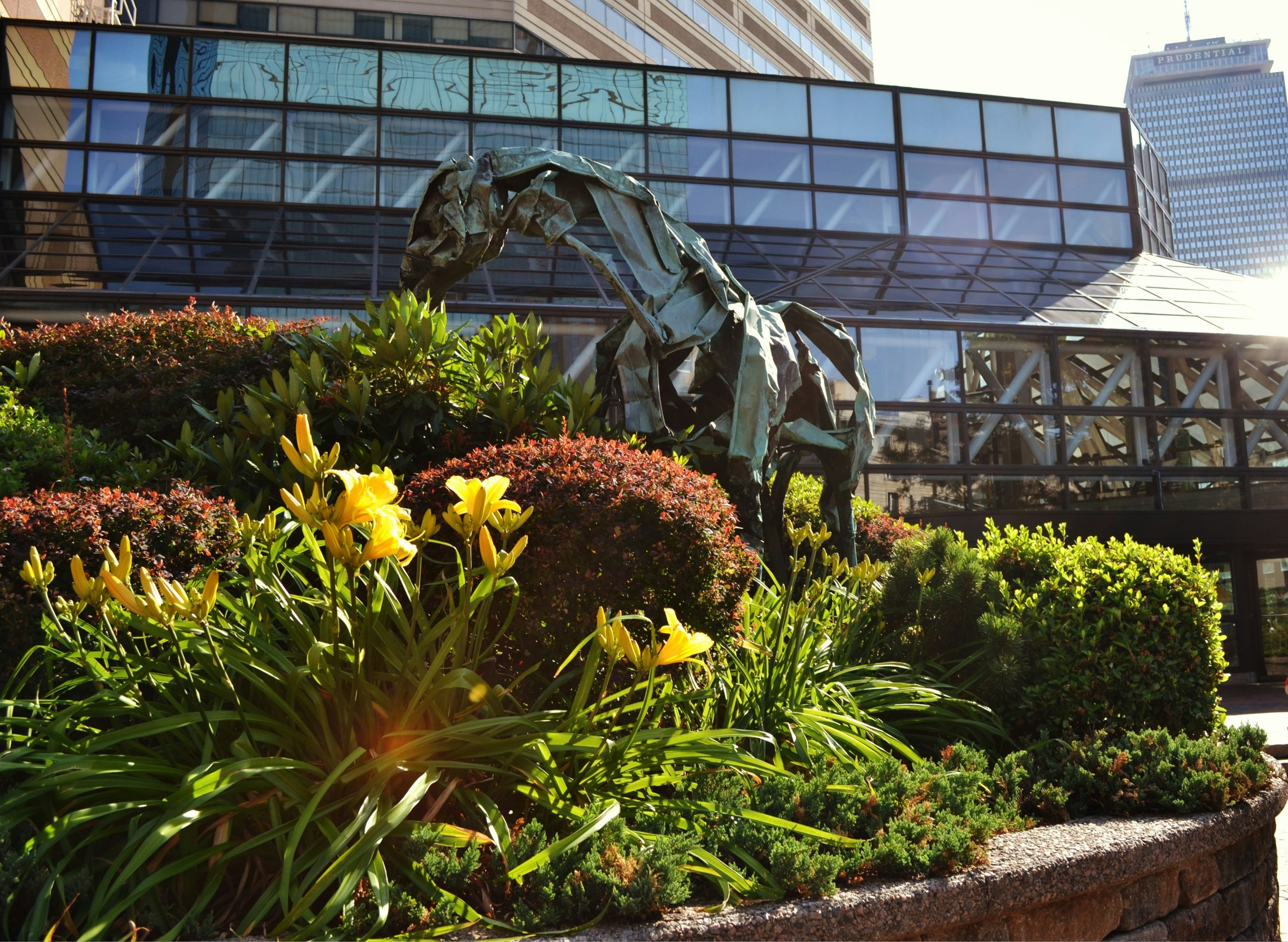 Free Unsplash photo from Yahya Zini