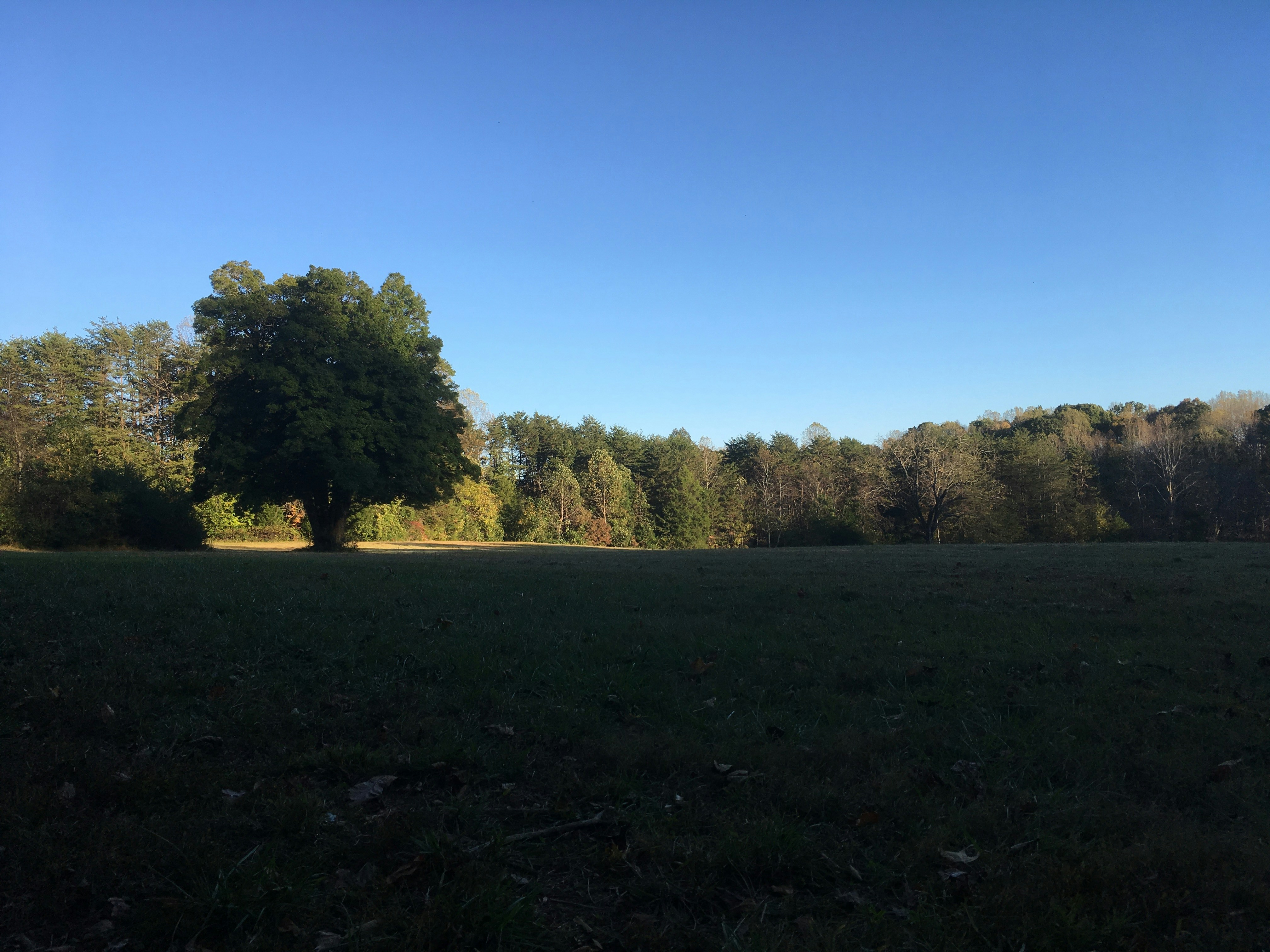 Free Unsplash photo from Emily King