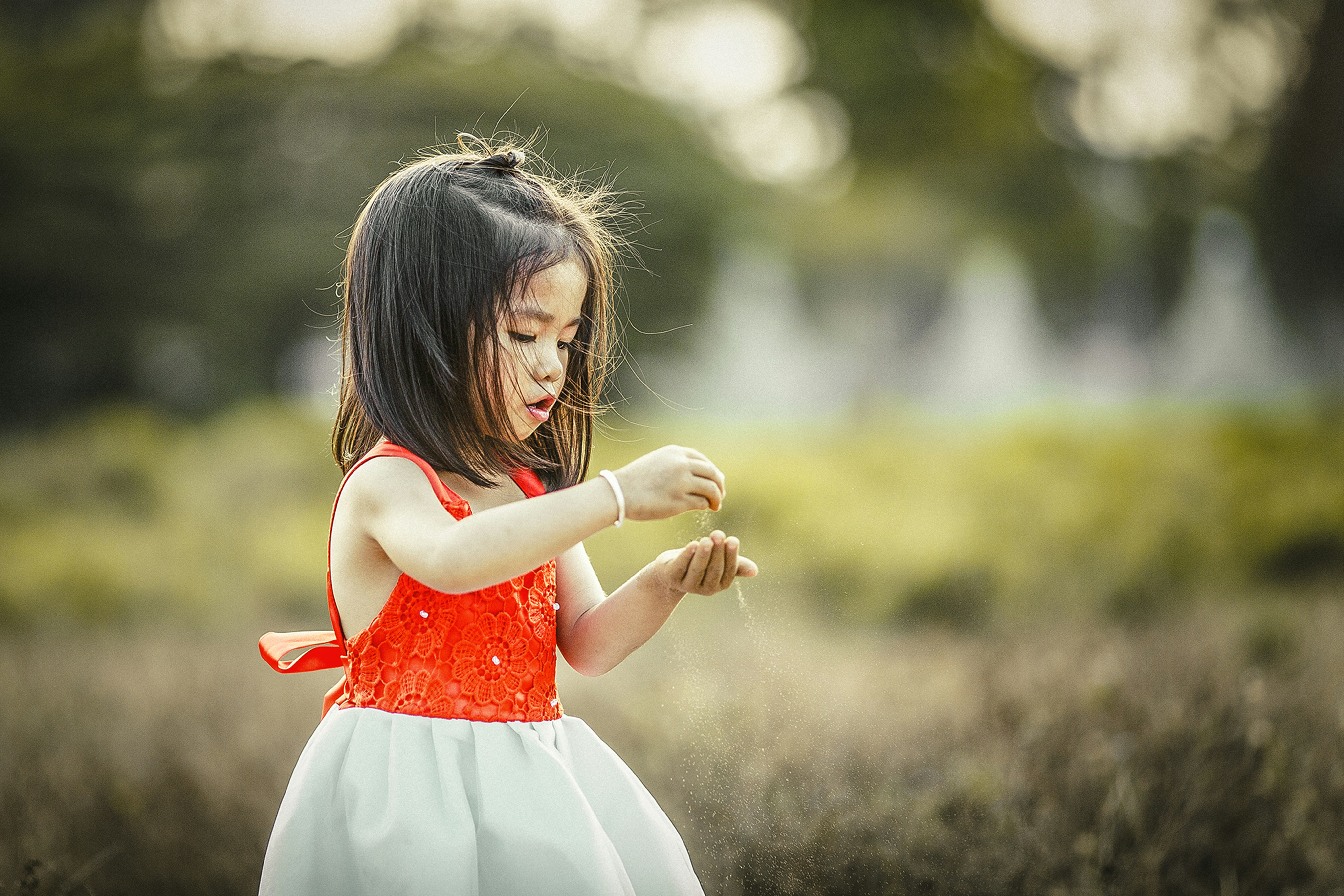 Free Unsplash photo from Mi PHAM