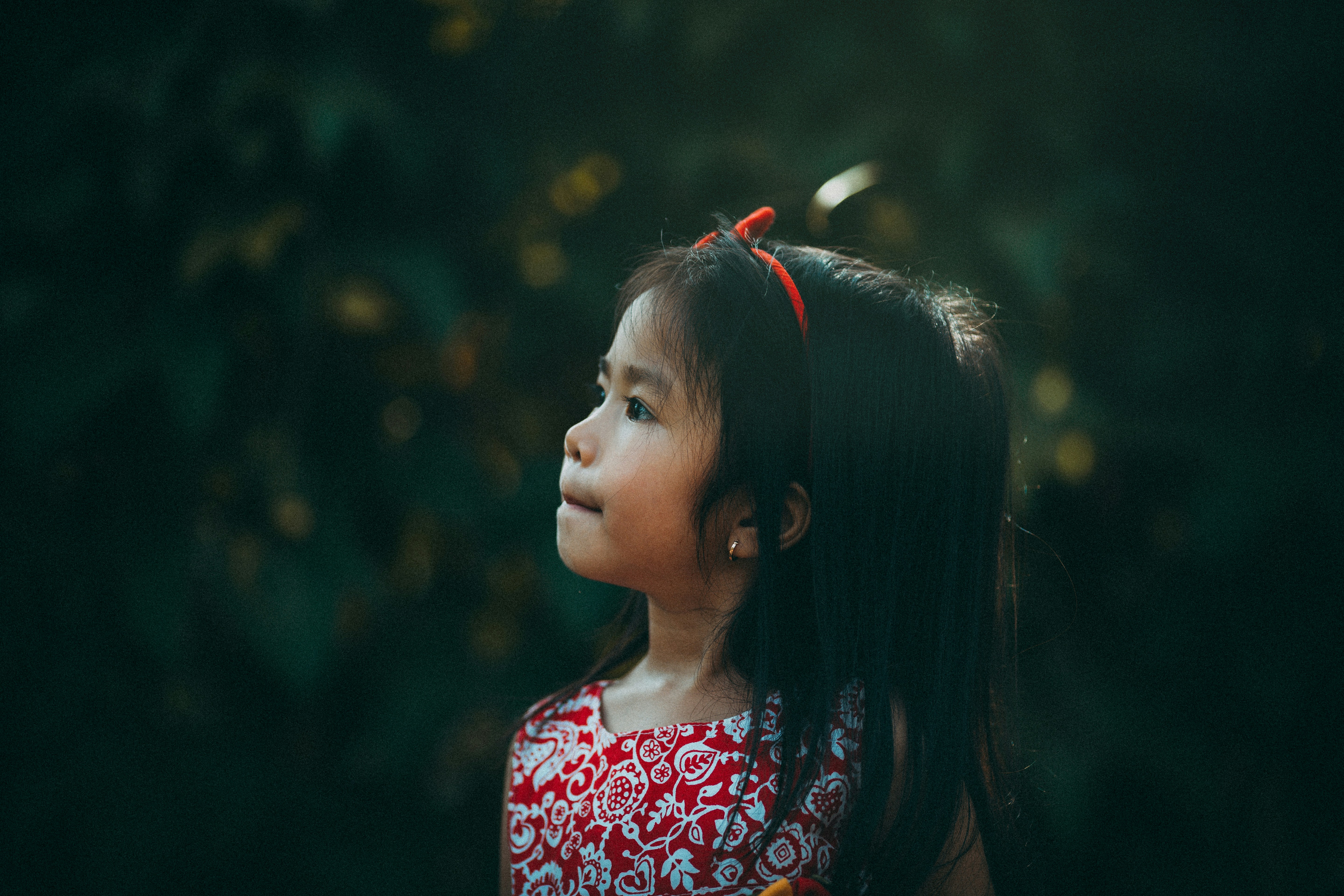 Free Unsplash photo from Mi PHAM