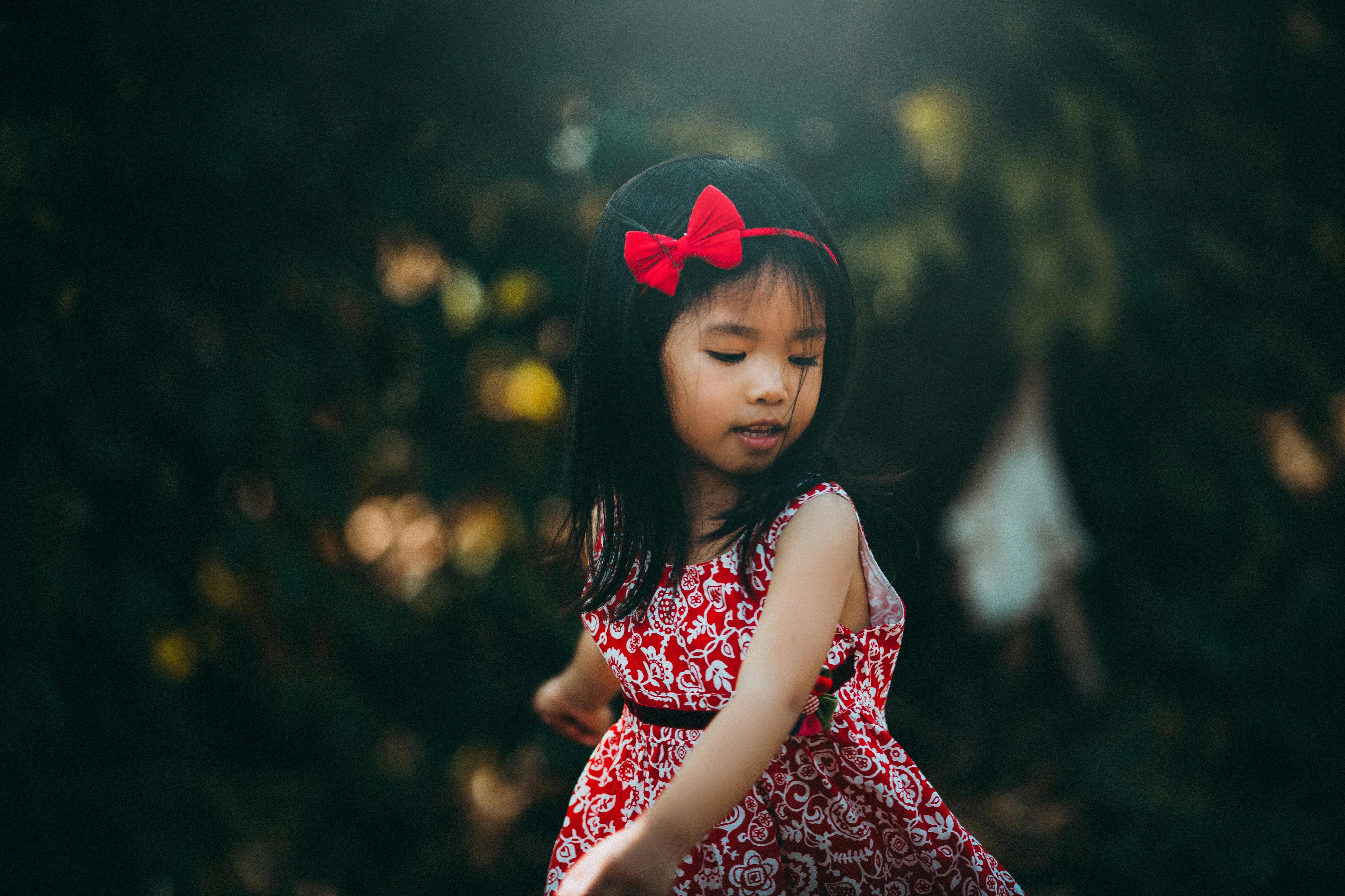 Free Unsplash photo from Mi PHAM