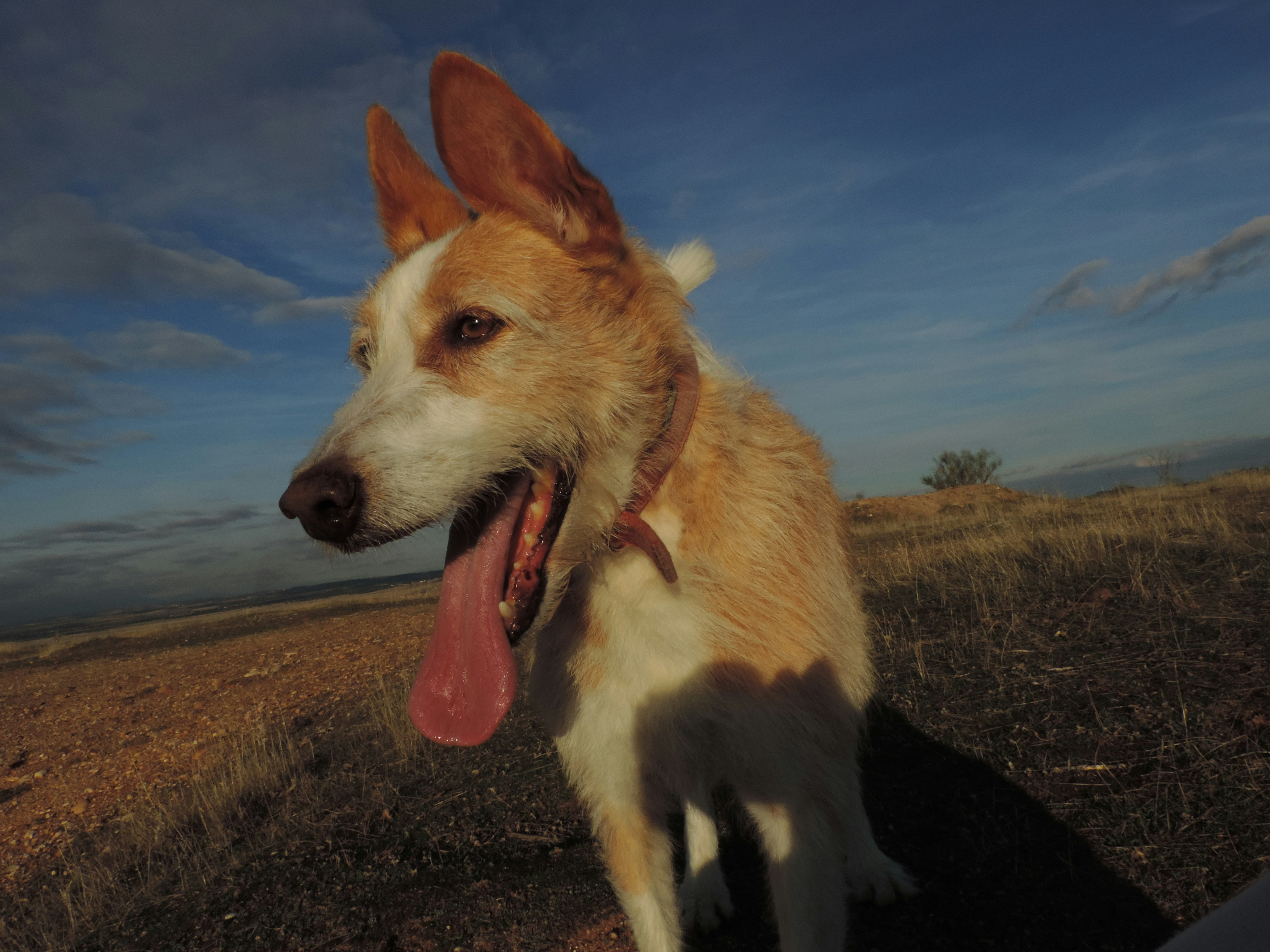 Free Unsplash photo from Clau