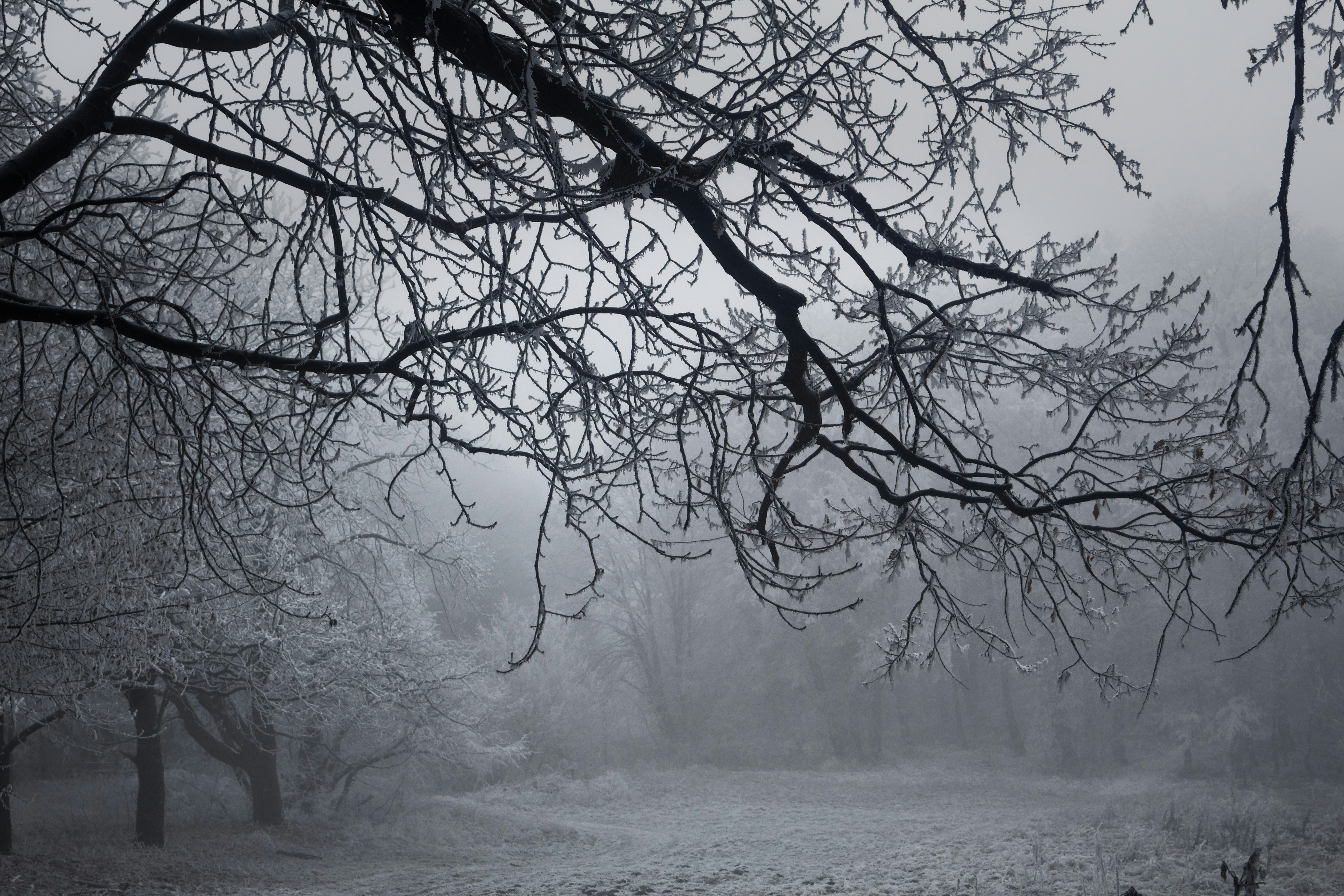 Free Unsplash photo from Goran Vučićević