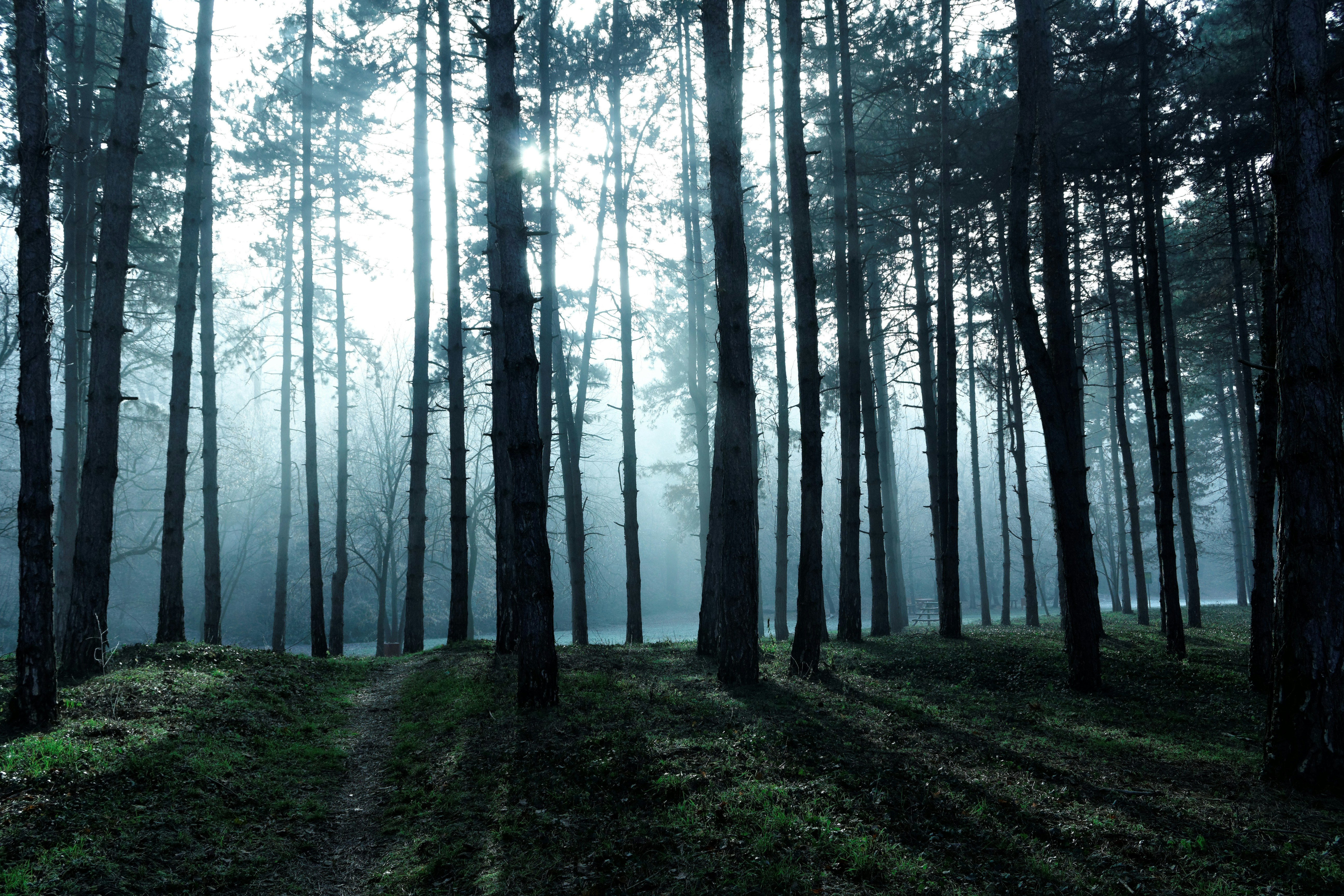 Free Unsplash photo from Goran Vučićević