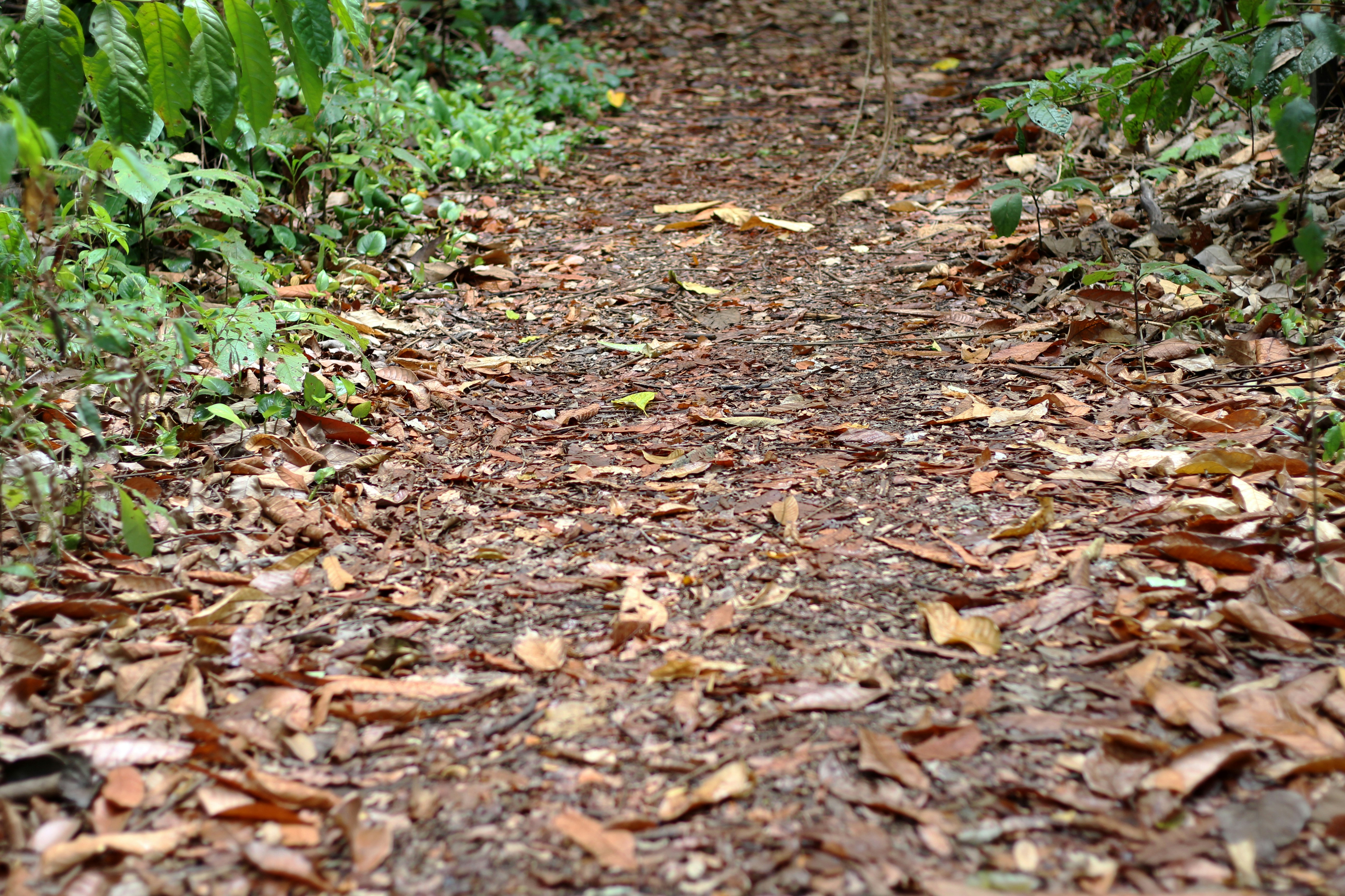 Free Unsplash photo from Luiz Paulo Valença