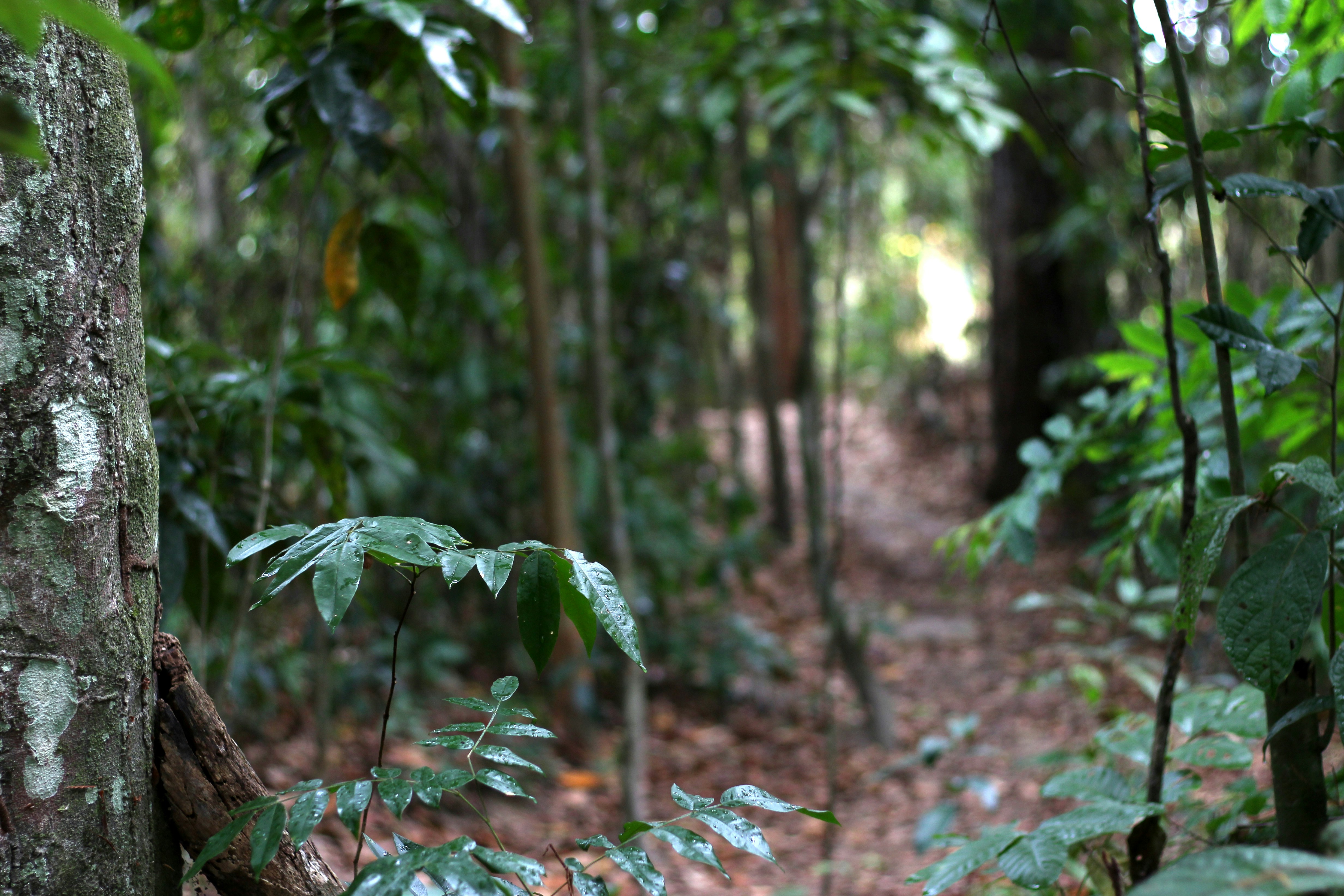 Free Unsplash photo from Luiz Paulo Valença