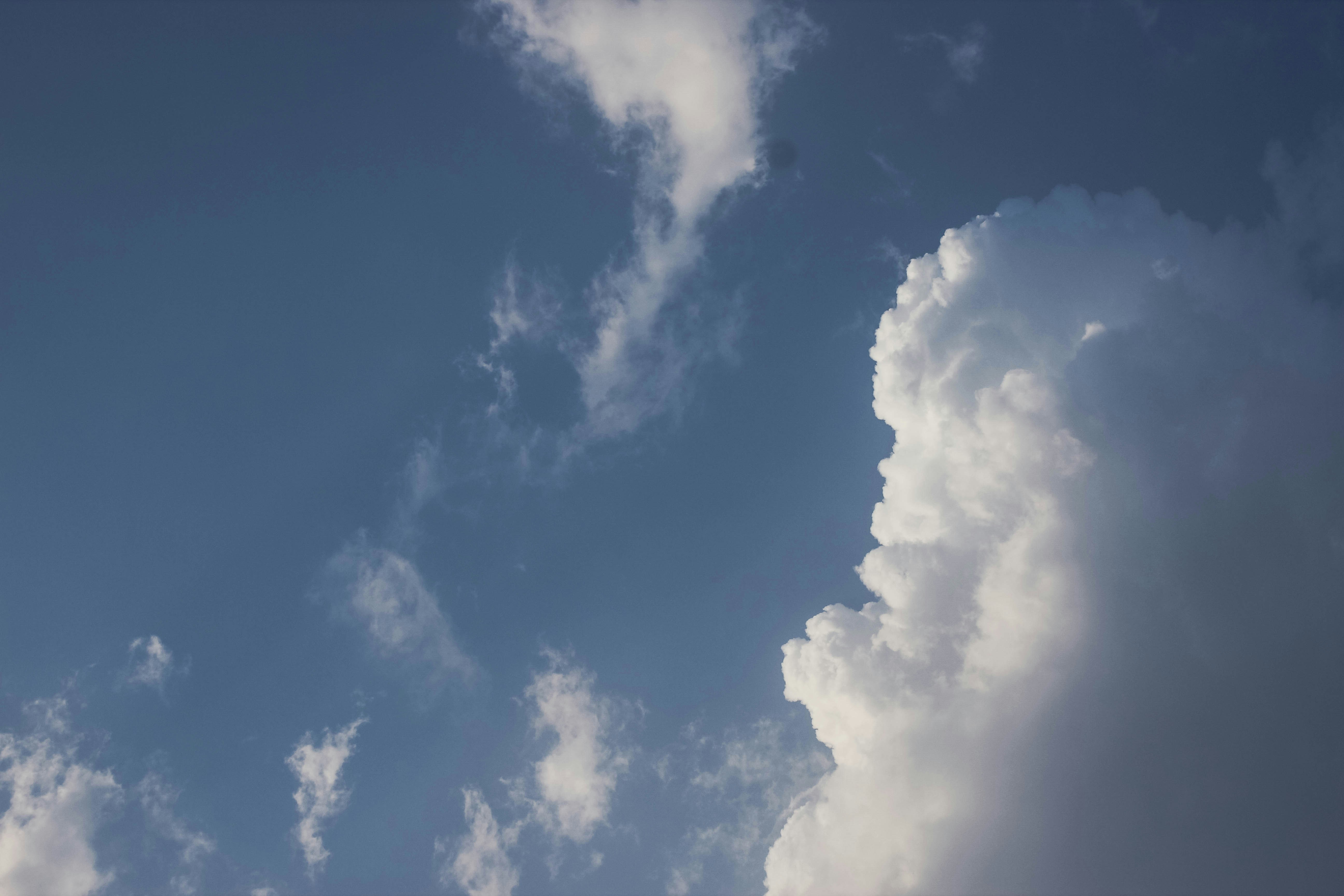 Free Unsplash photo from joim jong