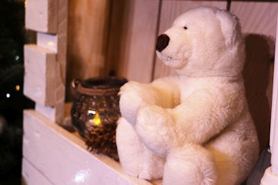 A monochrome plush bear sitting on a simple shelf with soft shadows.