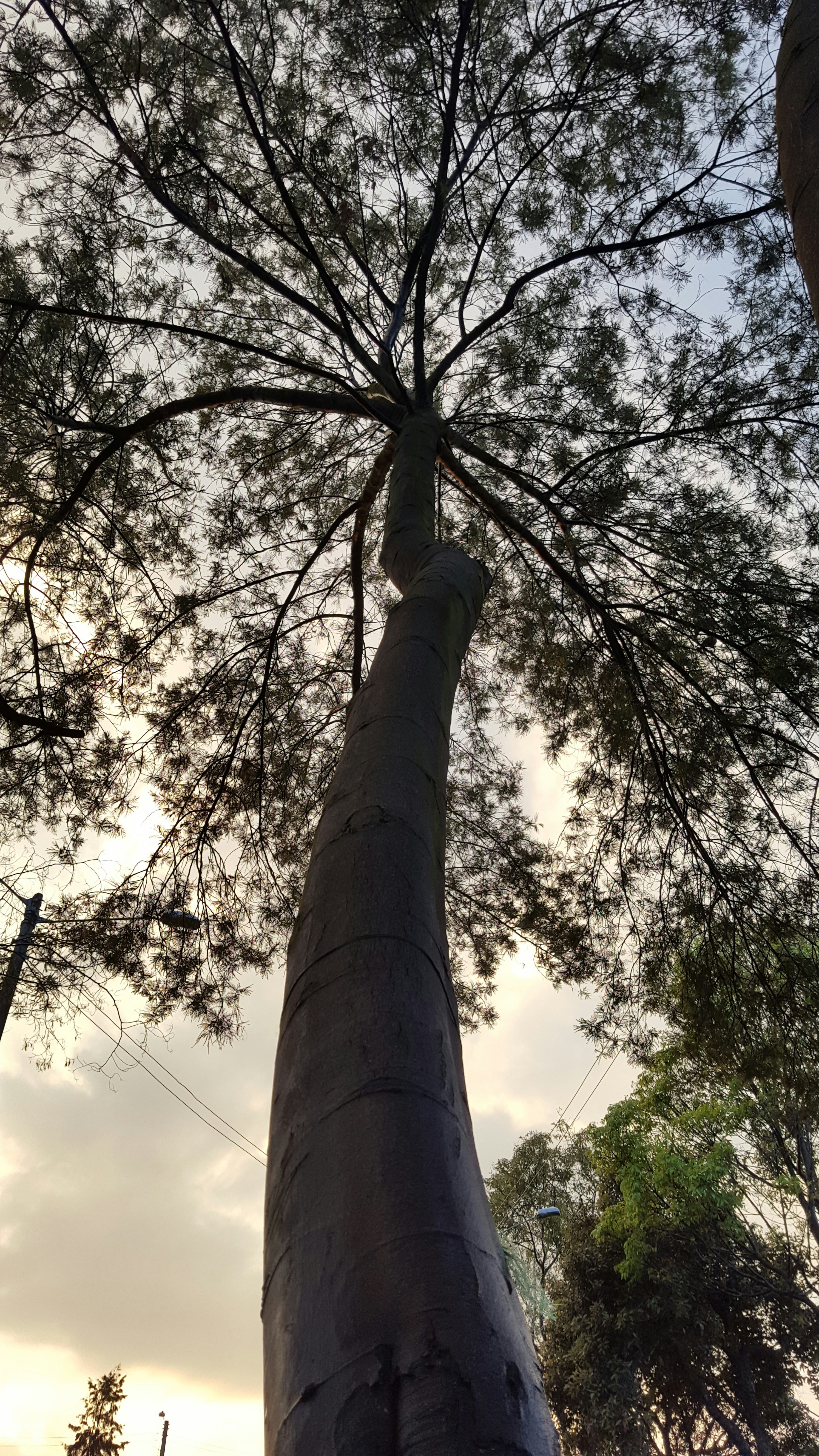 Free Unsplash photo from Andres Angel