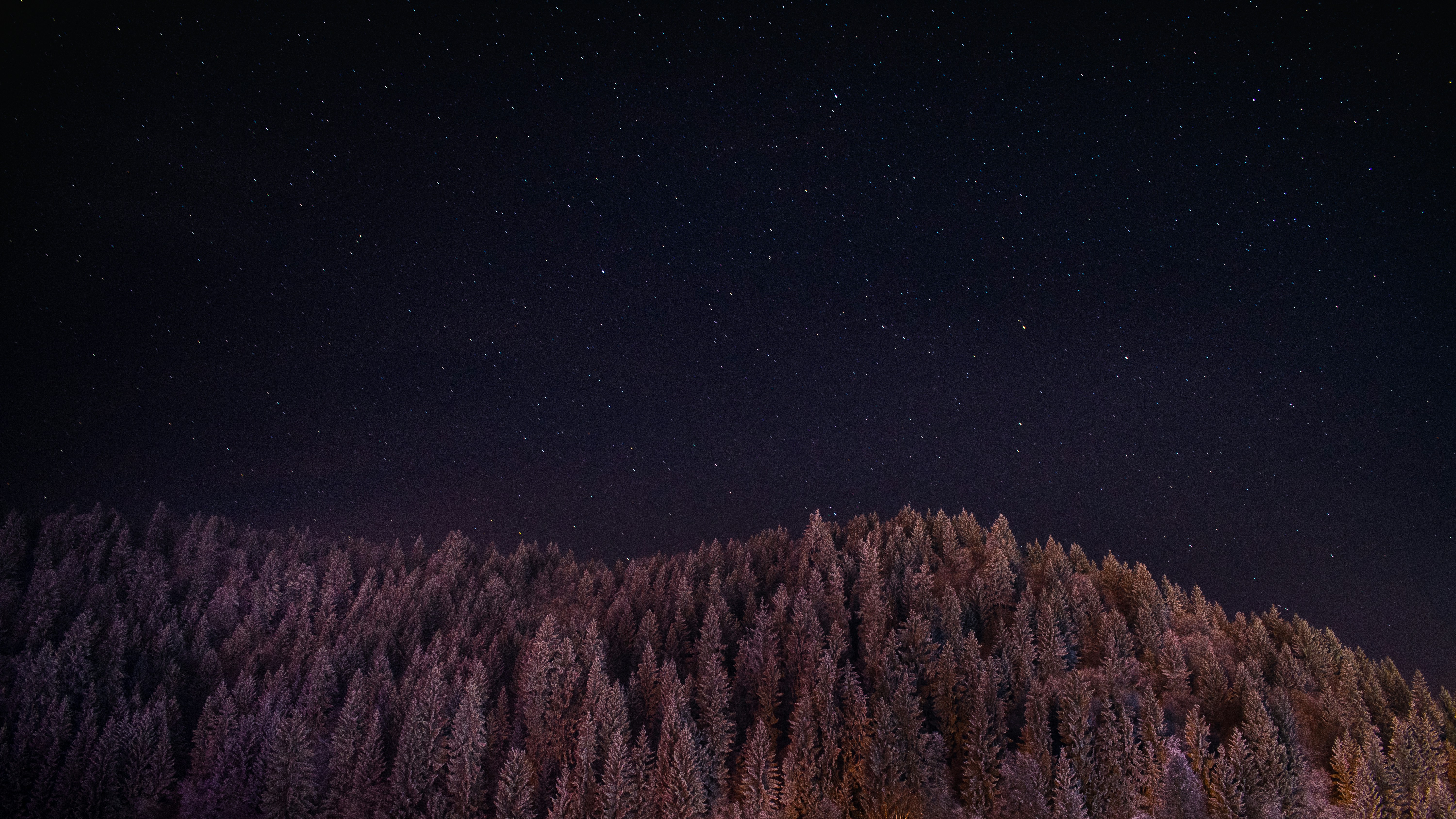 Wooded hill under stars