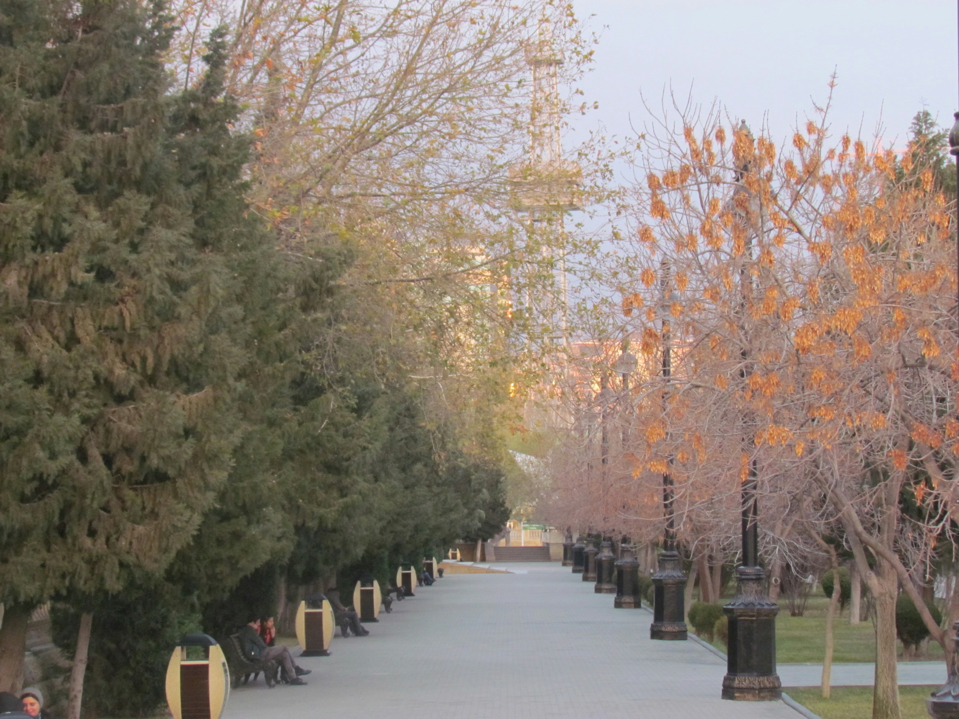 Free Unsplash photo from Ali Murshudov