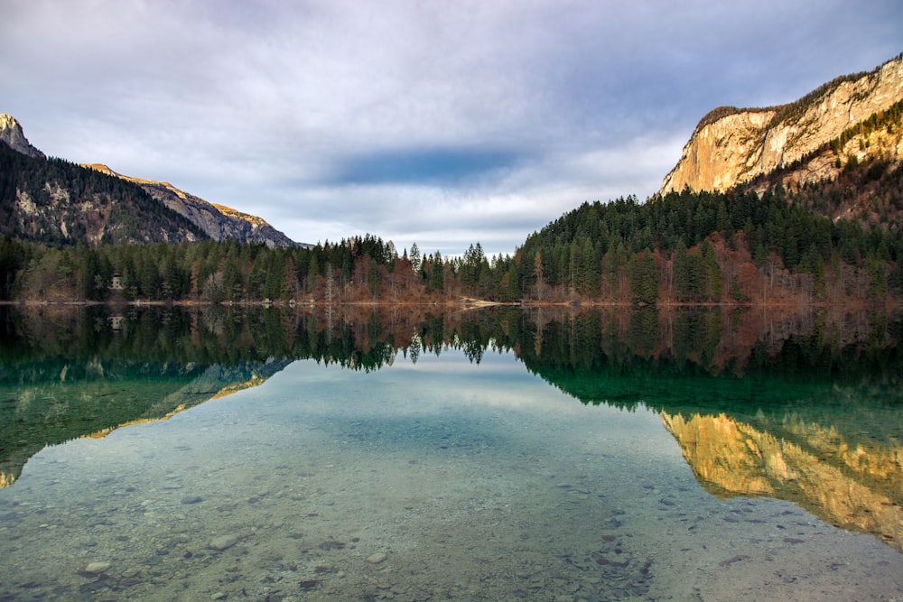 photographie de paysage d’arbres reflet sur l’eau