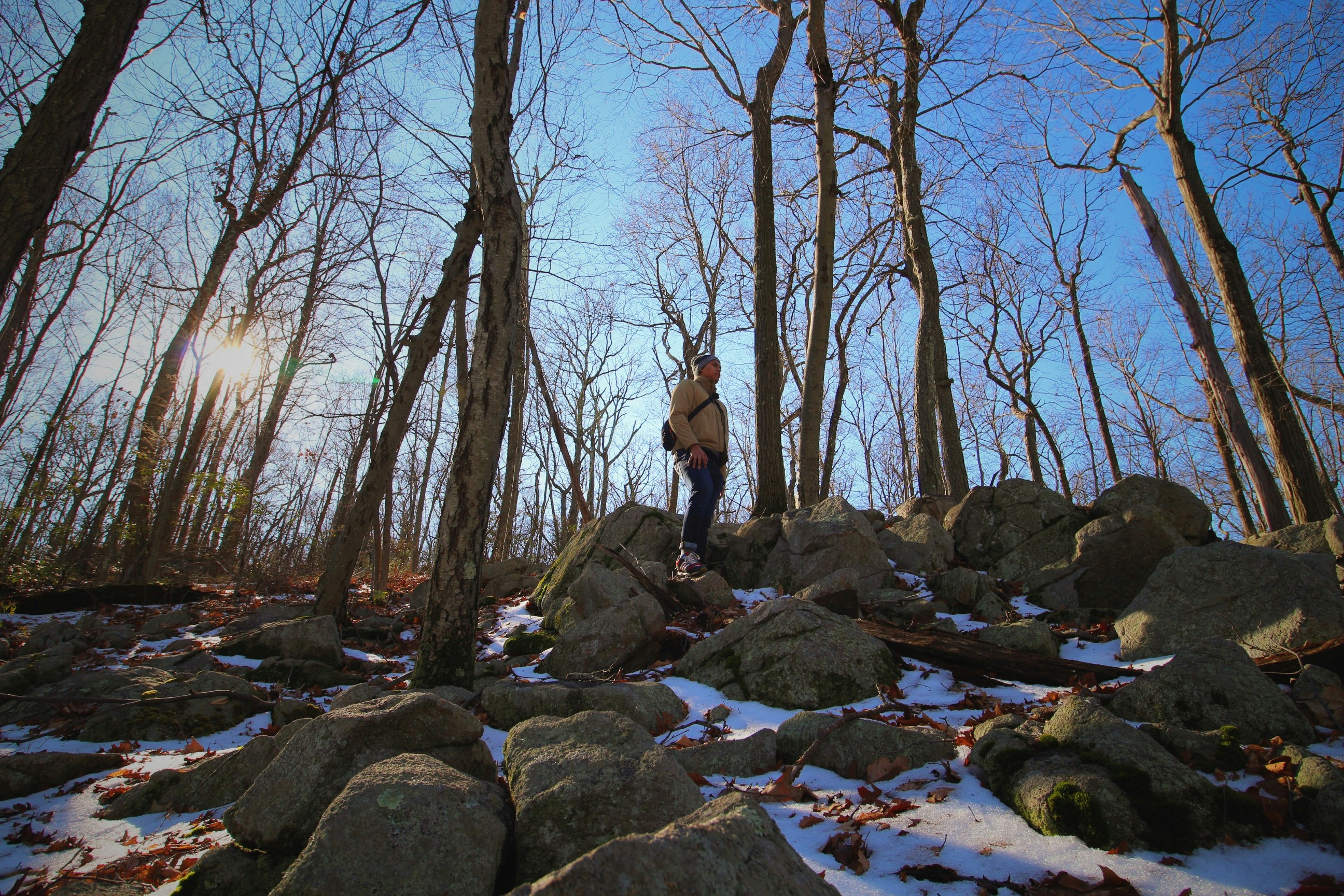 Free Unsplash photo from Laurence Cruz