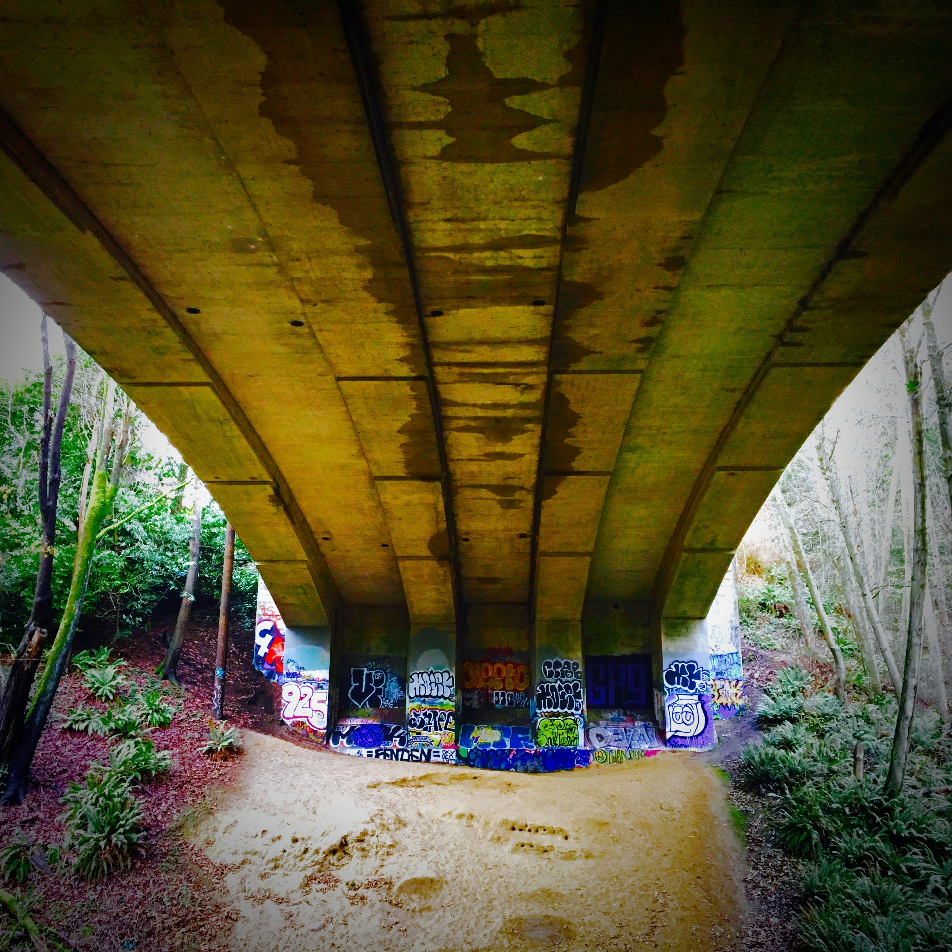 Free Unsplash photo from Derek Madison