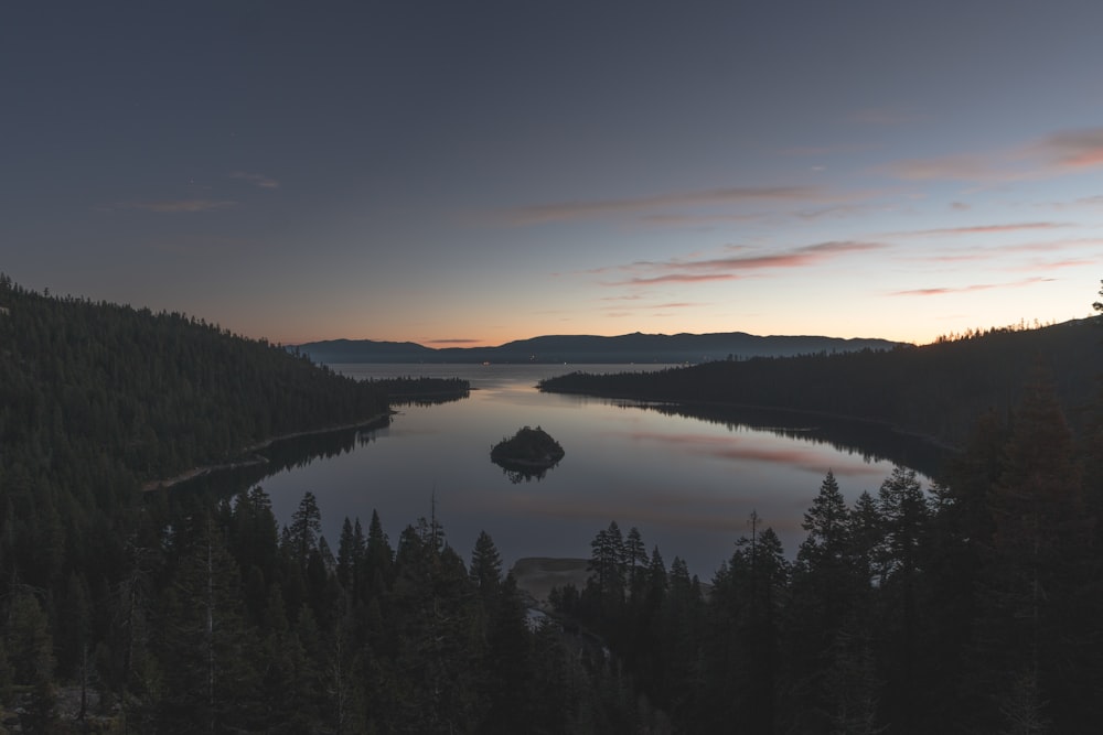 Fotografía de vista aérea de un lago rodeado de pinos