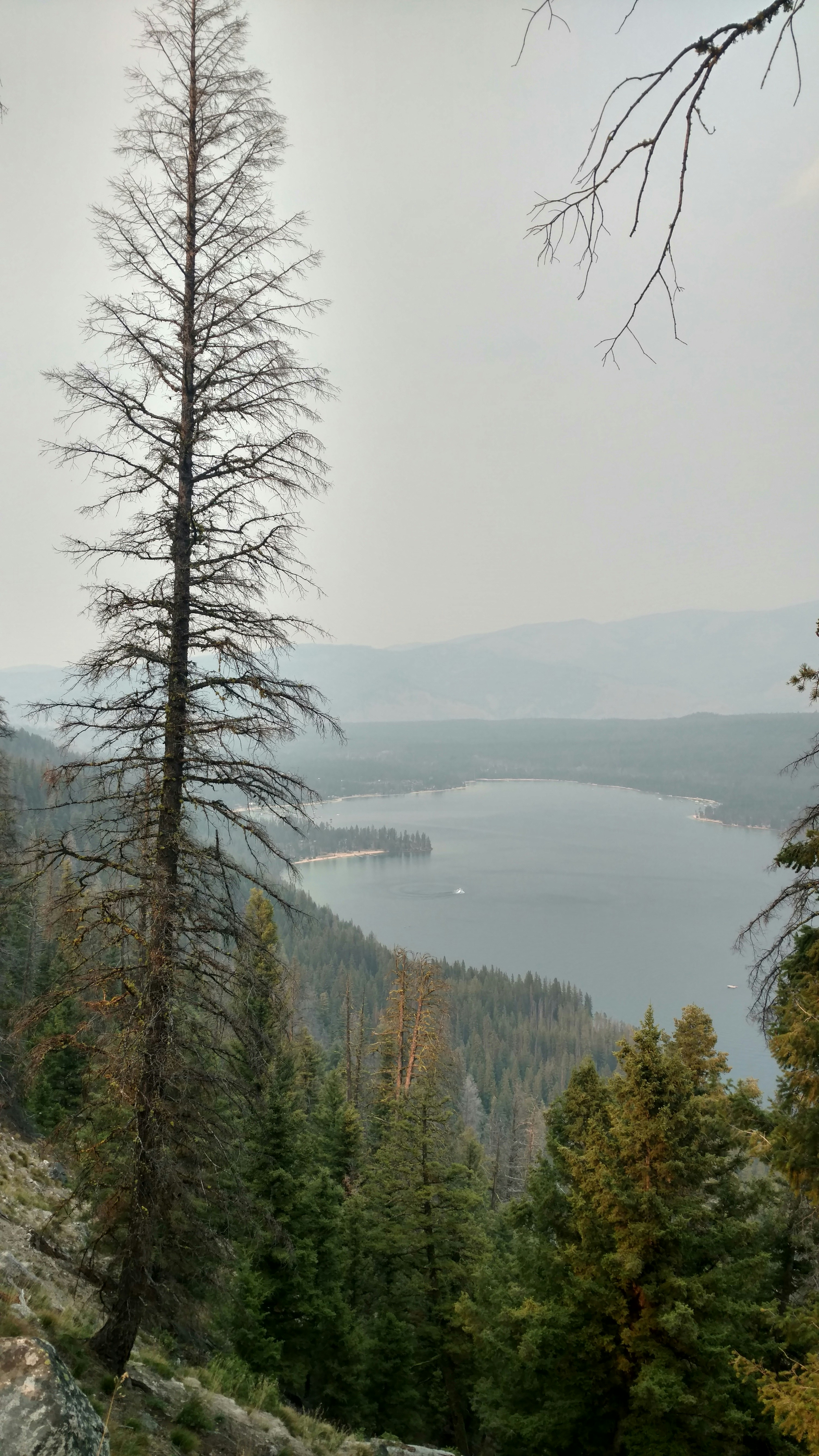 Free Unsplash photo from Cale Geffre