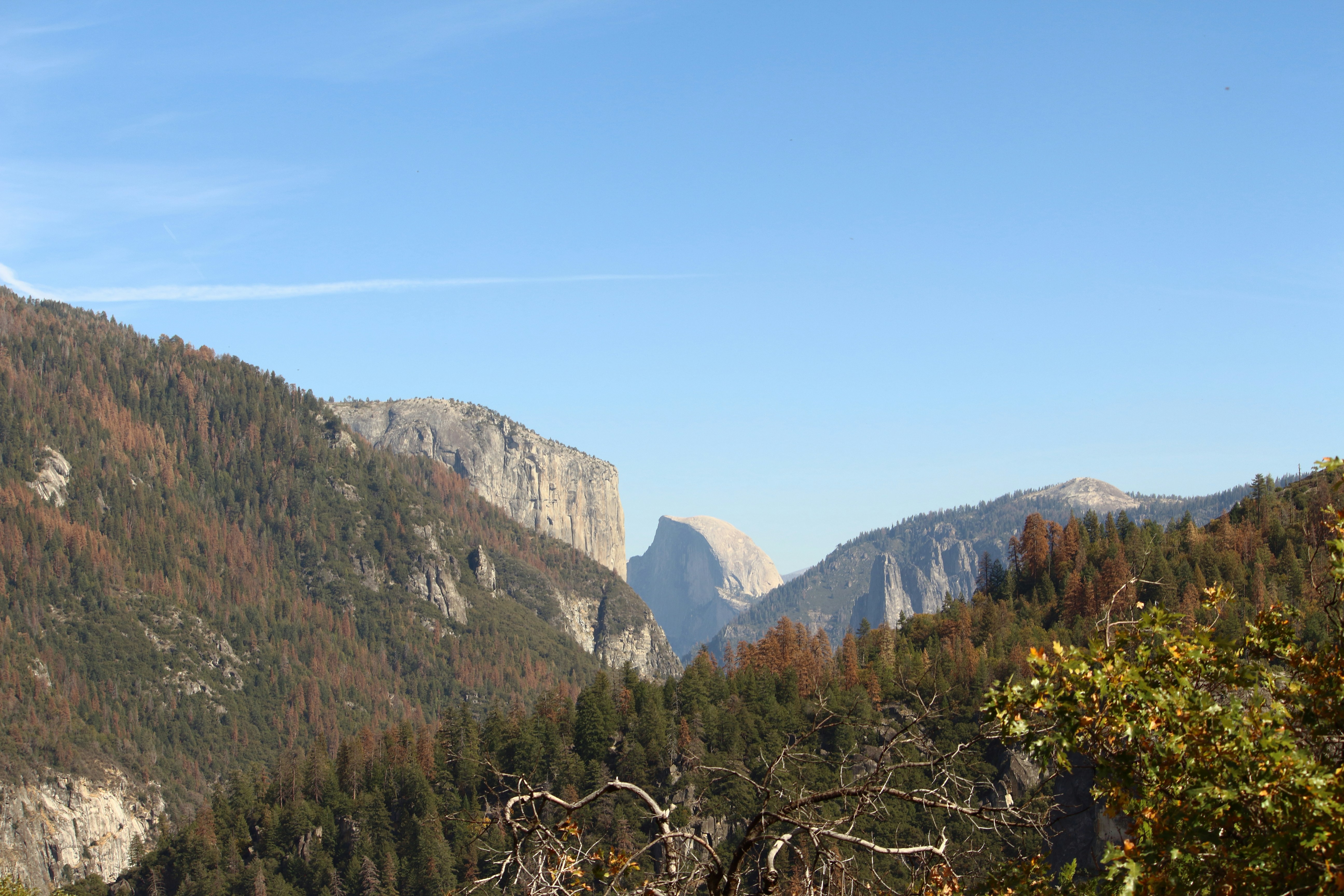 Free Unsplash photo from sujeeth pasham