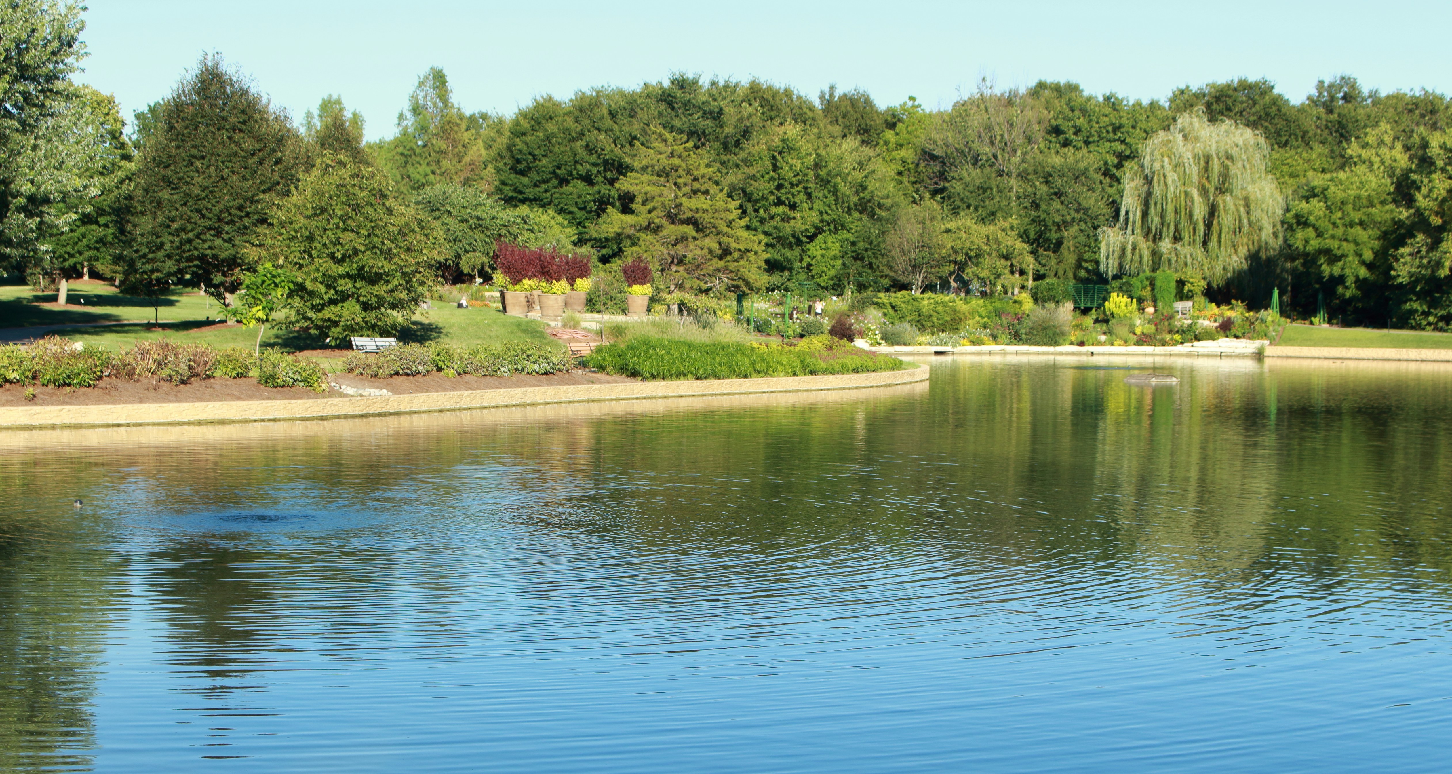 Free Unsplash photo from sujeeth pasham