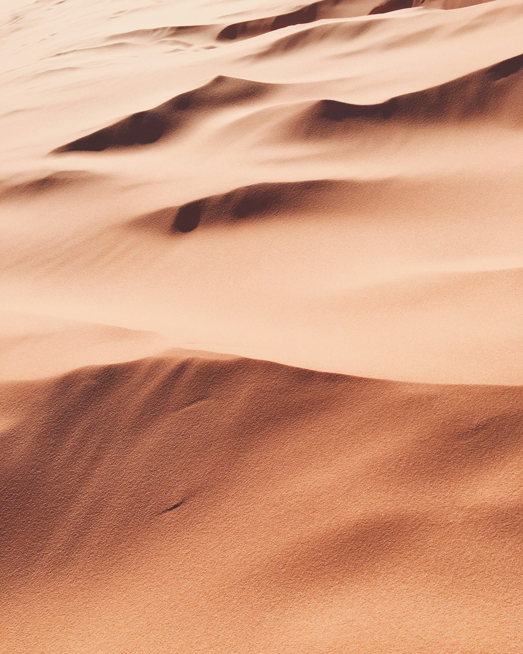 This is a cropped shot of some sand at the Coral Pink Sand Dunes State Park in Utah. However, it could look like large sand dunes from an aerial view also. Whether near or far, I love the softness of the texture and the crisp lines that could be changed instantly by a slight breeze. It’s a magical, playful, pink place.