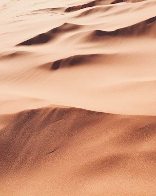 Desert sand landscape