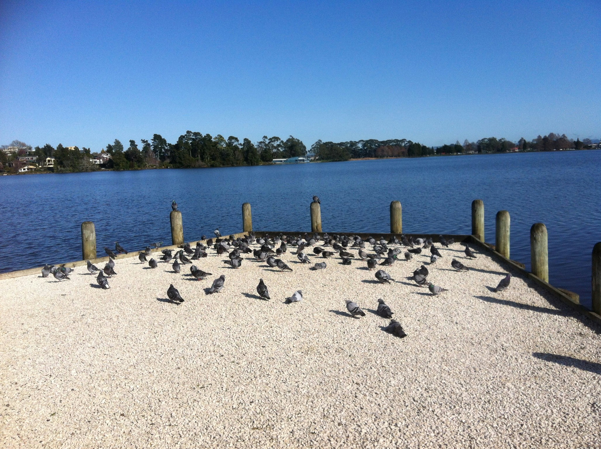 Free Unsplash photo from Cass Hendry