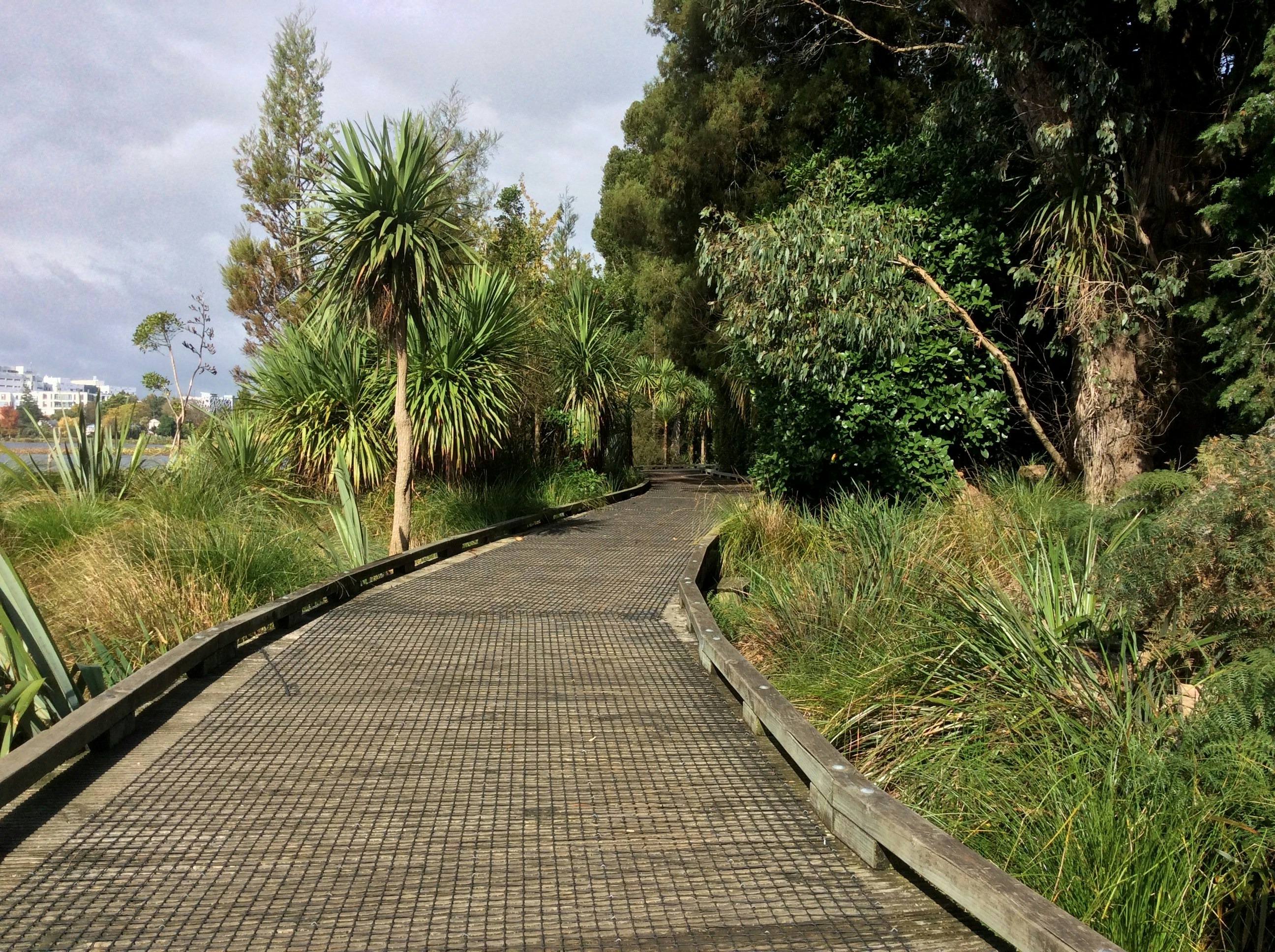 Free Unsplash photo from Cass Hendry