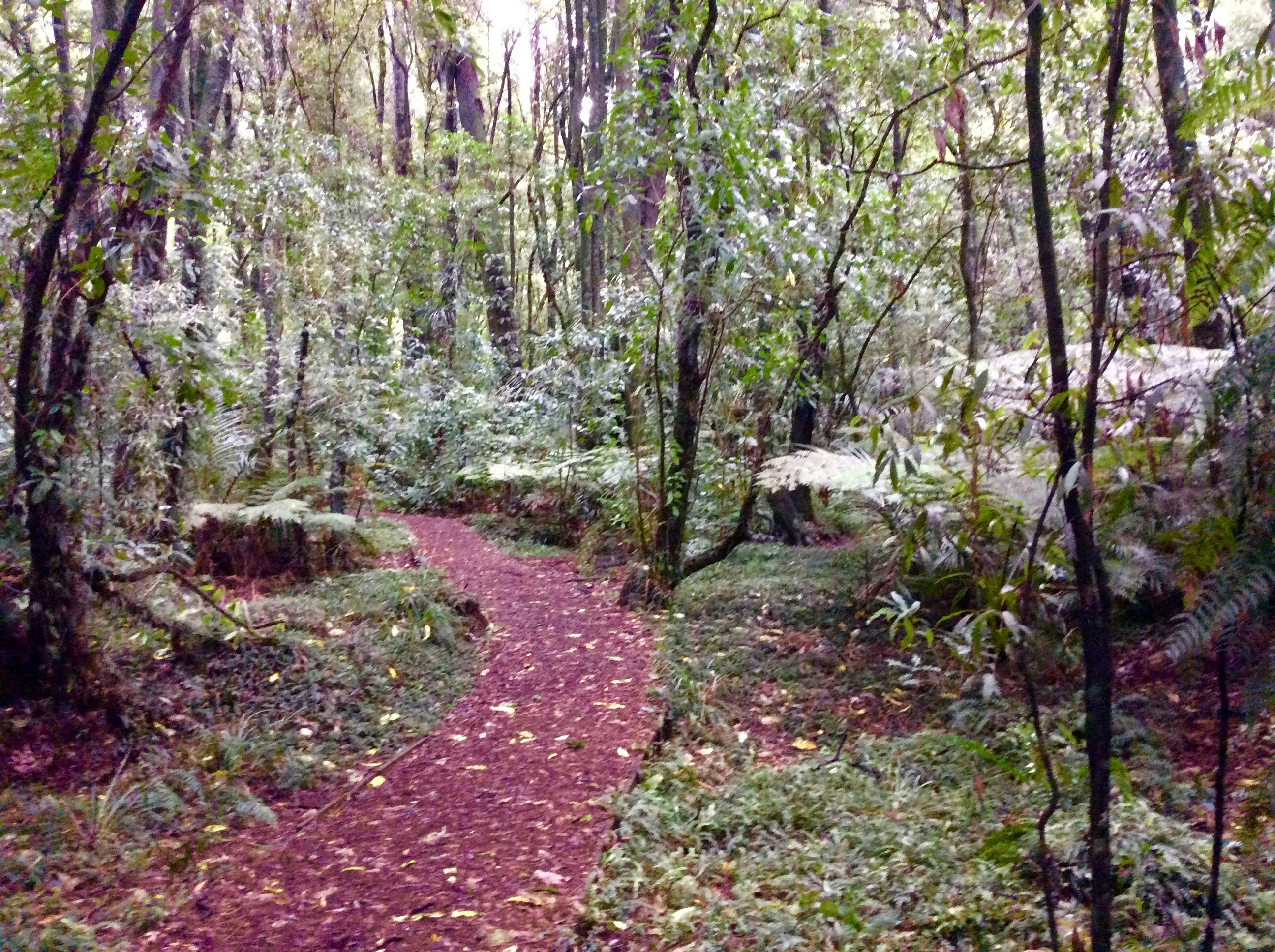 Free Unsplash photo from Cass Hendry