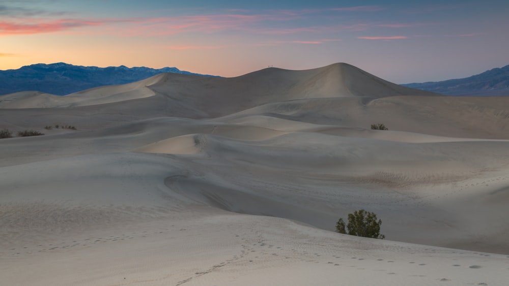 photo of footprints on desert during daytime