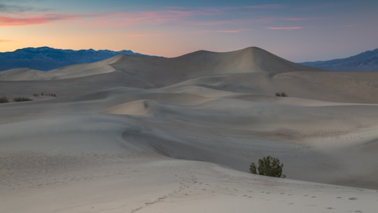 photo of footprints on desert during daytime in Stovepipe Wells United States