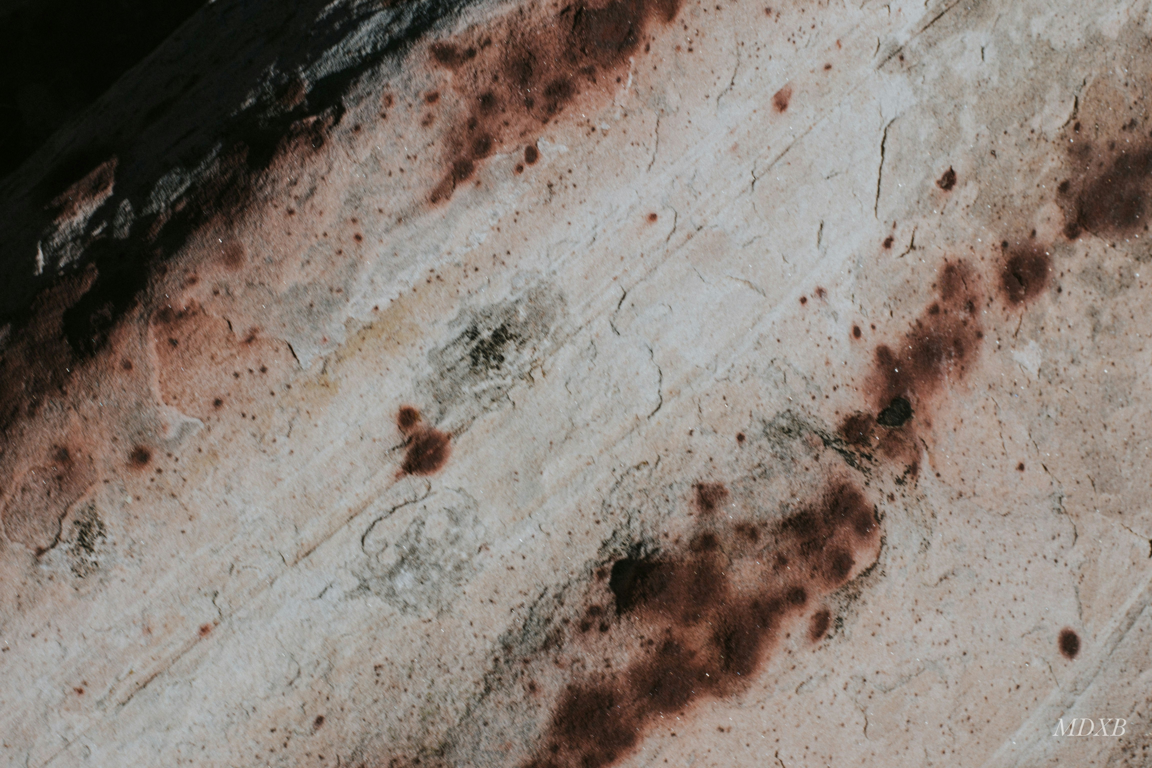 Free Unsplash photo from Mishel Browning