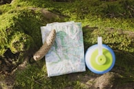 A topographic map is laid out on a moss-covered log next to a pine cone and a blue and green bottle cap. Sunlight illuminates the scene, creating a natural, outdoorsy atmosphere.