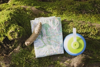 A topographic map is laid out on a moss-covered log next to a pine cone and a blue and green bottle cap. Sunlight illuminates the scene, creating a natural, outdoorsy atmosphere.