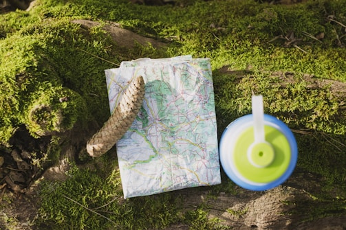 A topographic map is laid out on a moss-covered log next to a pine cone and a blue and green bottle cap. Sunlight illuminates the scene, creating a natural, outdoorsy atmosphere.