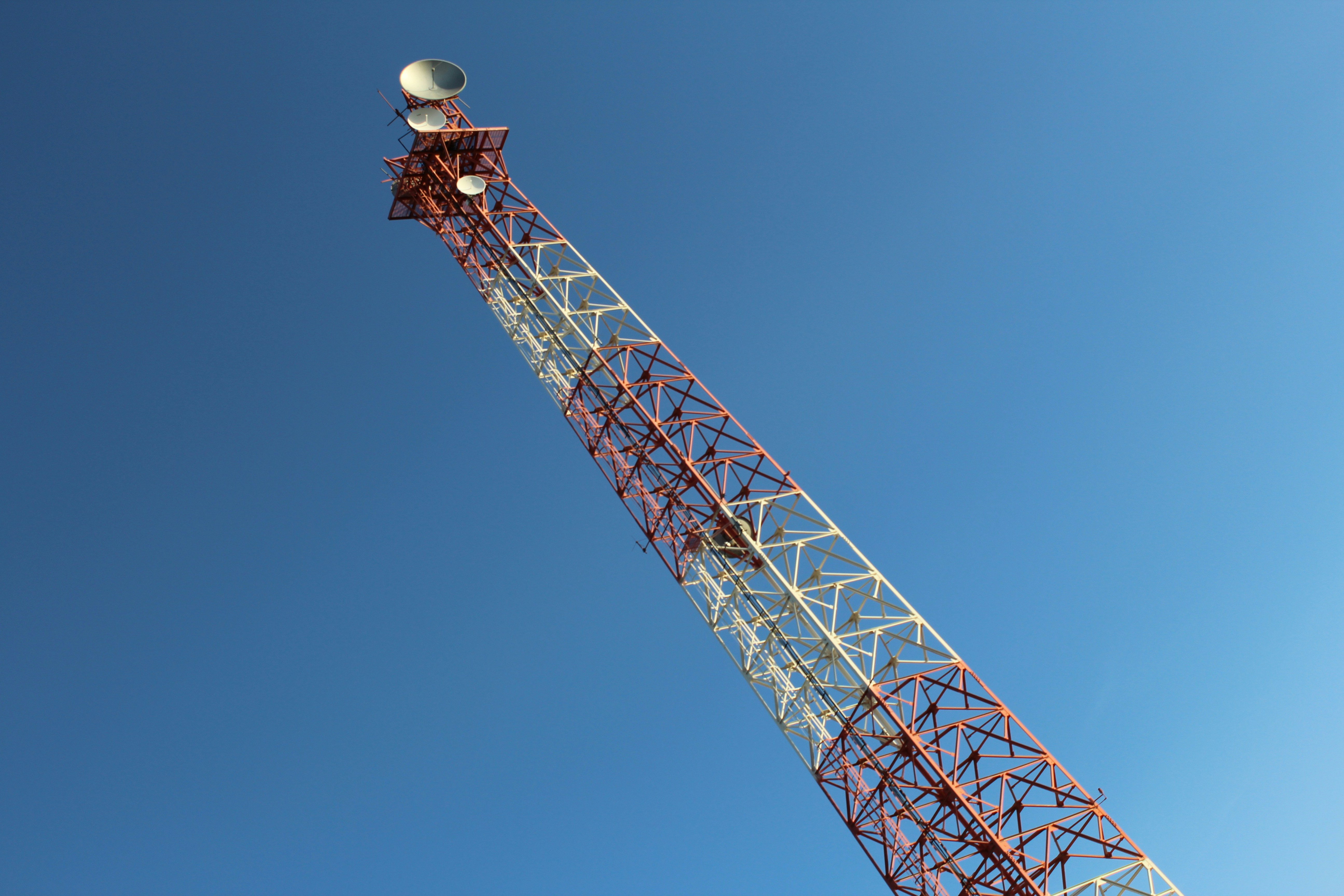 Free Unsplash photo from Dulce  Láriz