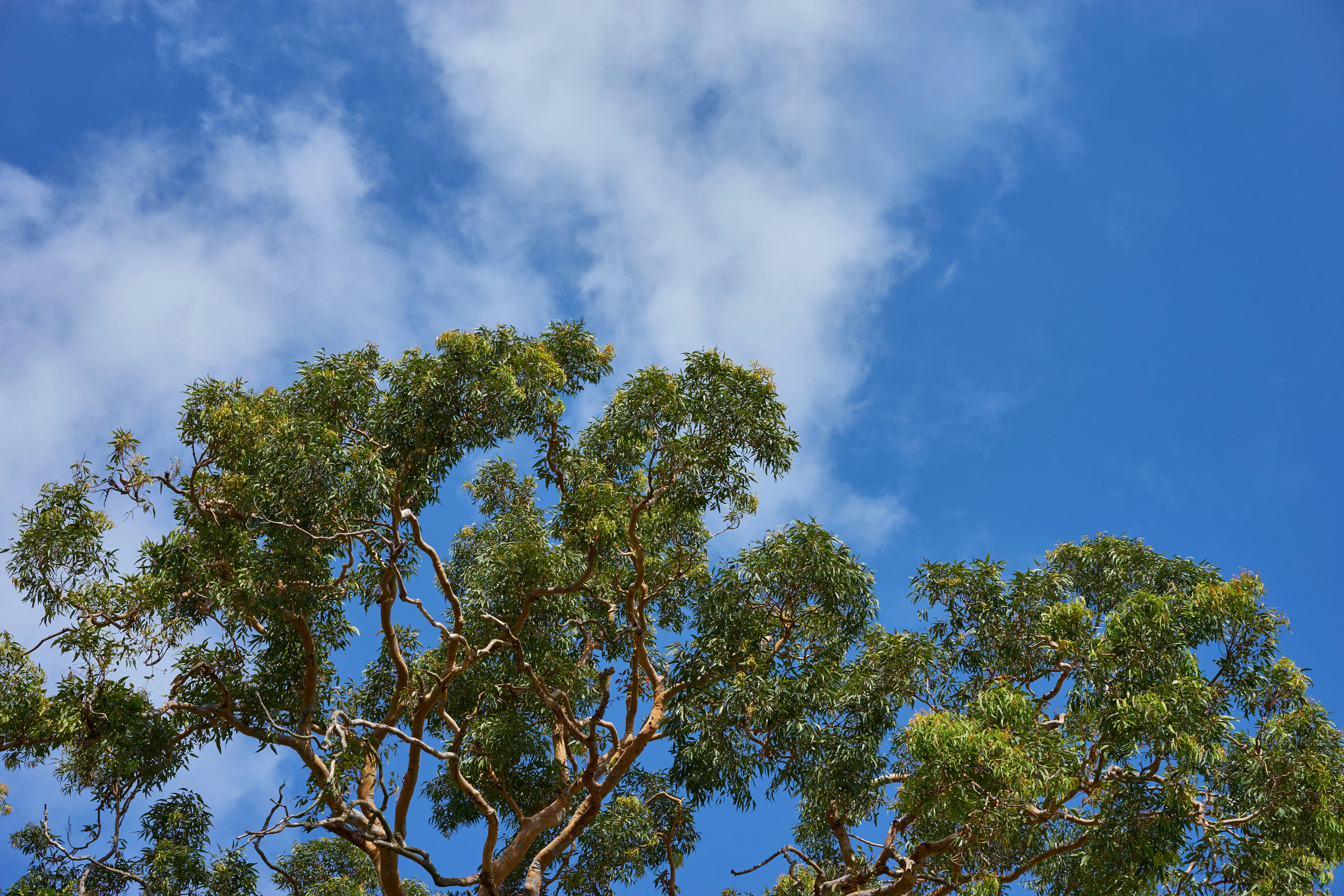 Free Unsplash photo from Lei Zhao