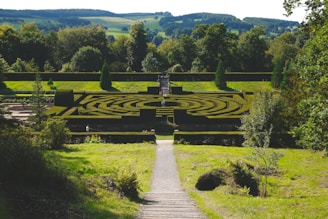 A beautiful view of the natural maze surrounded by greenery.