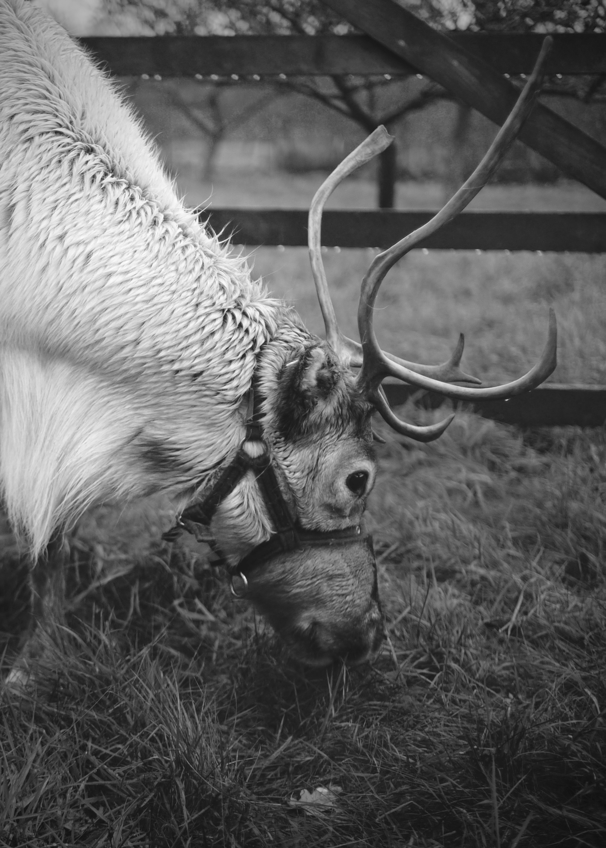 Free Unsplash photo from Craig Smith