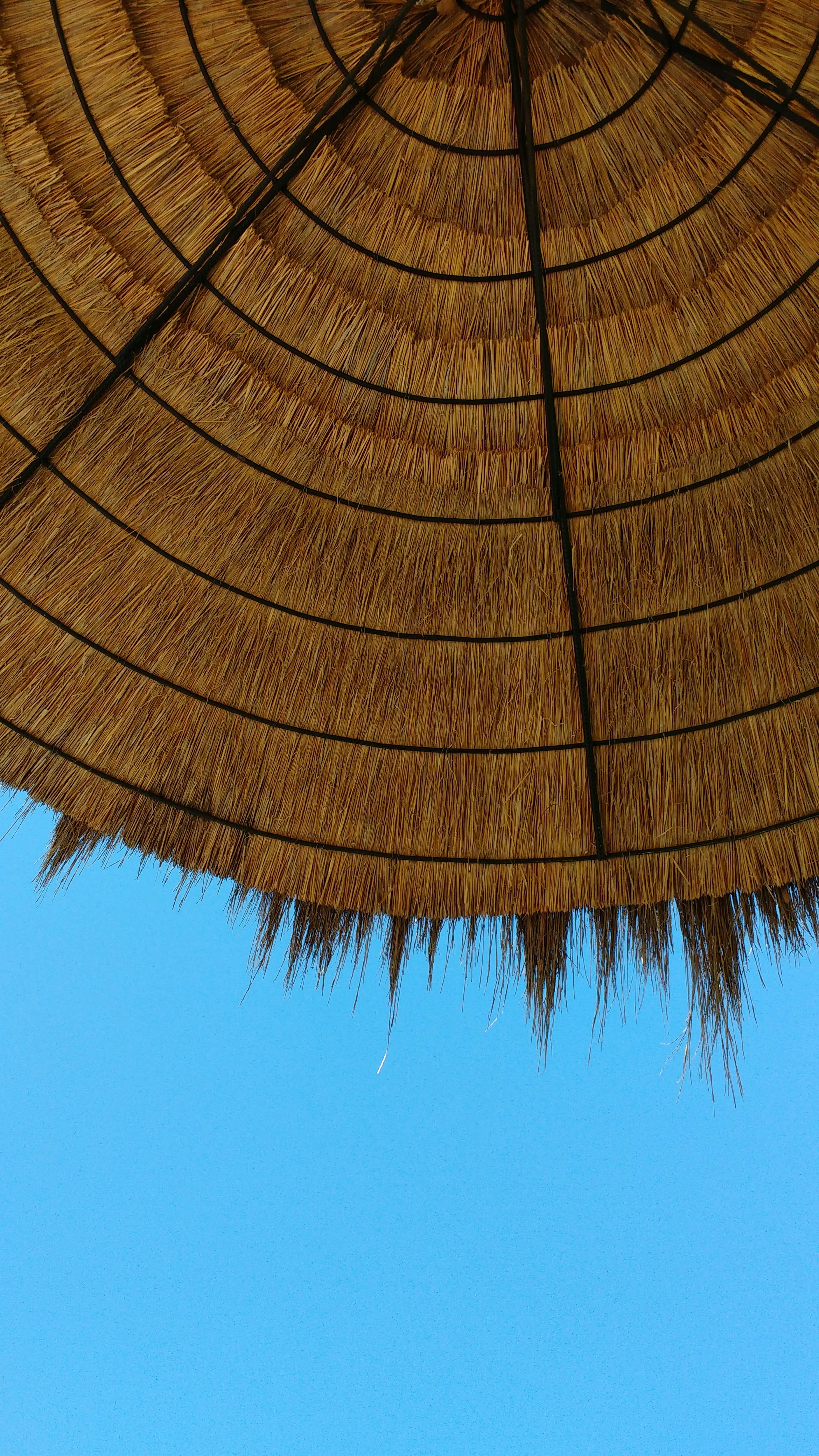 Free Unsplash photo from Marcelo Avalos Helman