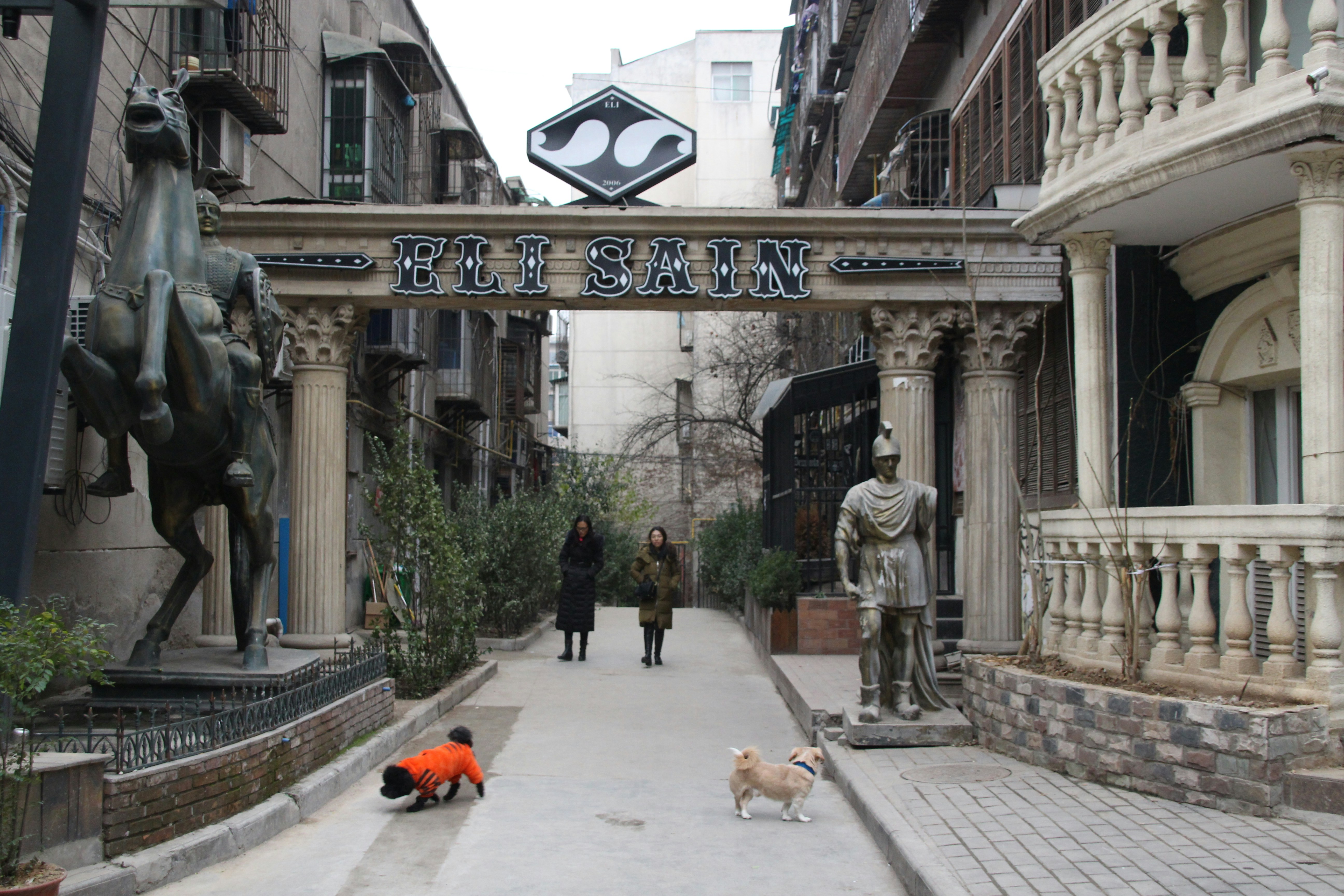 Free Unsplash photo from Lena L